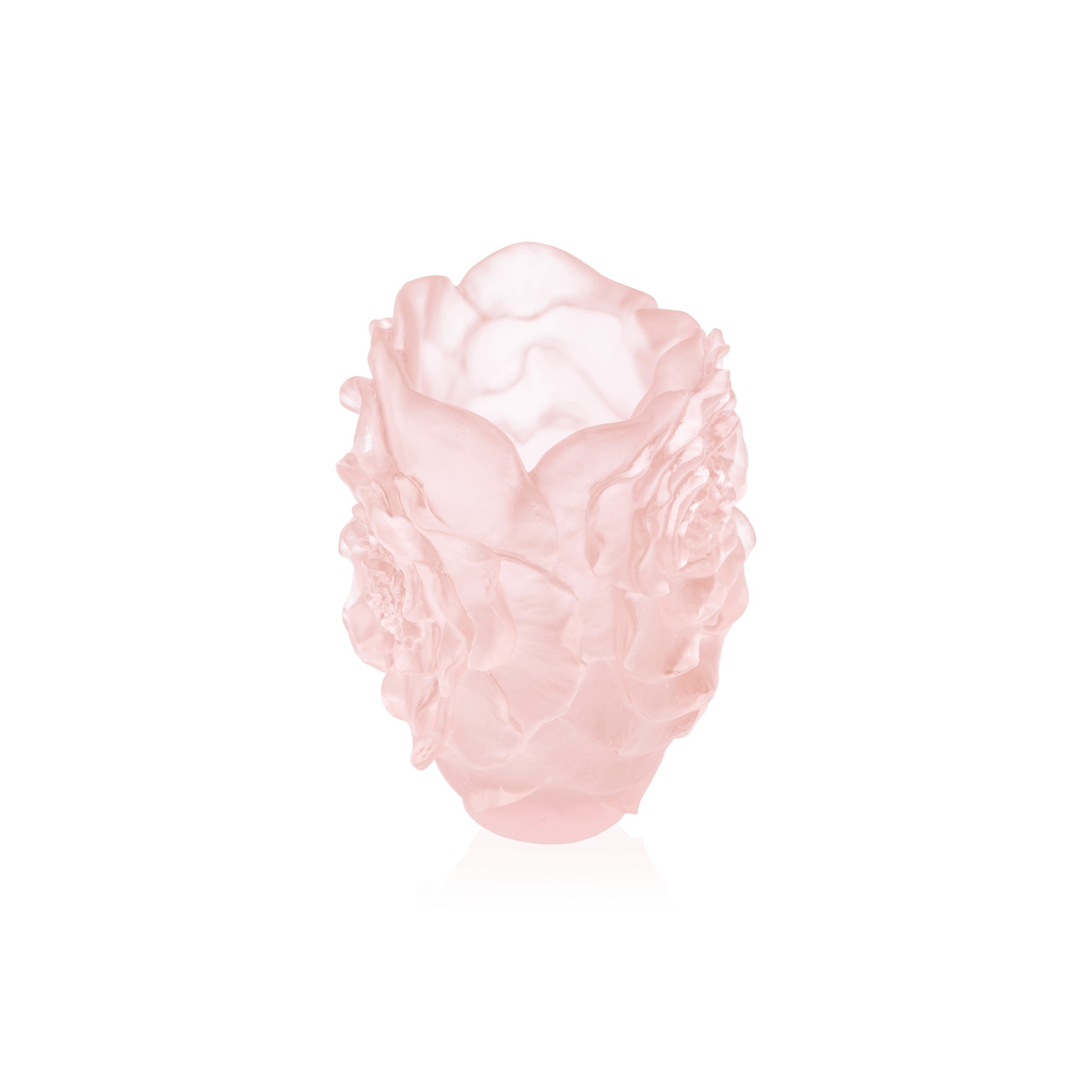 Daum Camelia