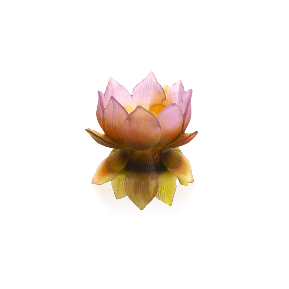 Daum Jardin de Lotus collection