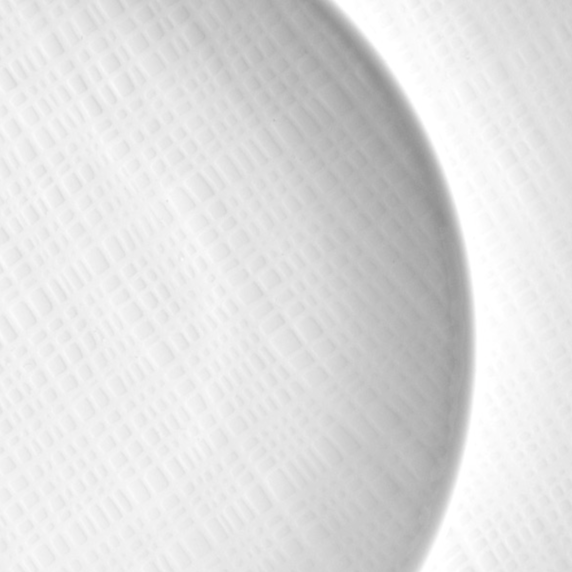 Bernardaud-organza-dinnerware-closeup_1728e2b3-cc7e-4be7-98ed-3c4df1503125
