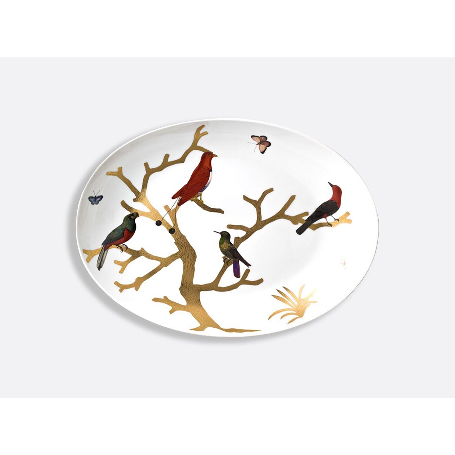 Bernardaud Coupe oval platter 16" x 11.4", Limoges porcelain, Aux Oiseaux collection, on a white background