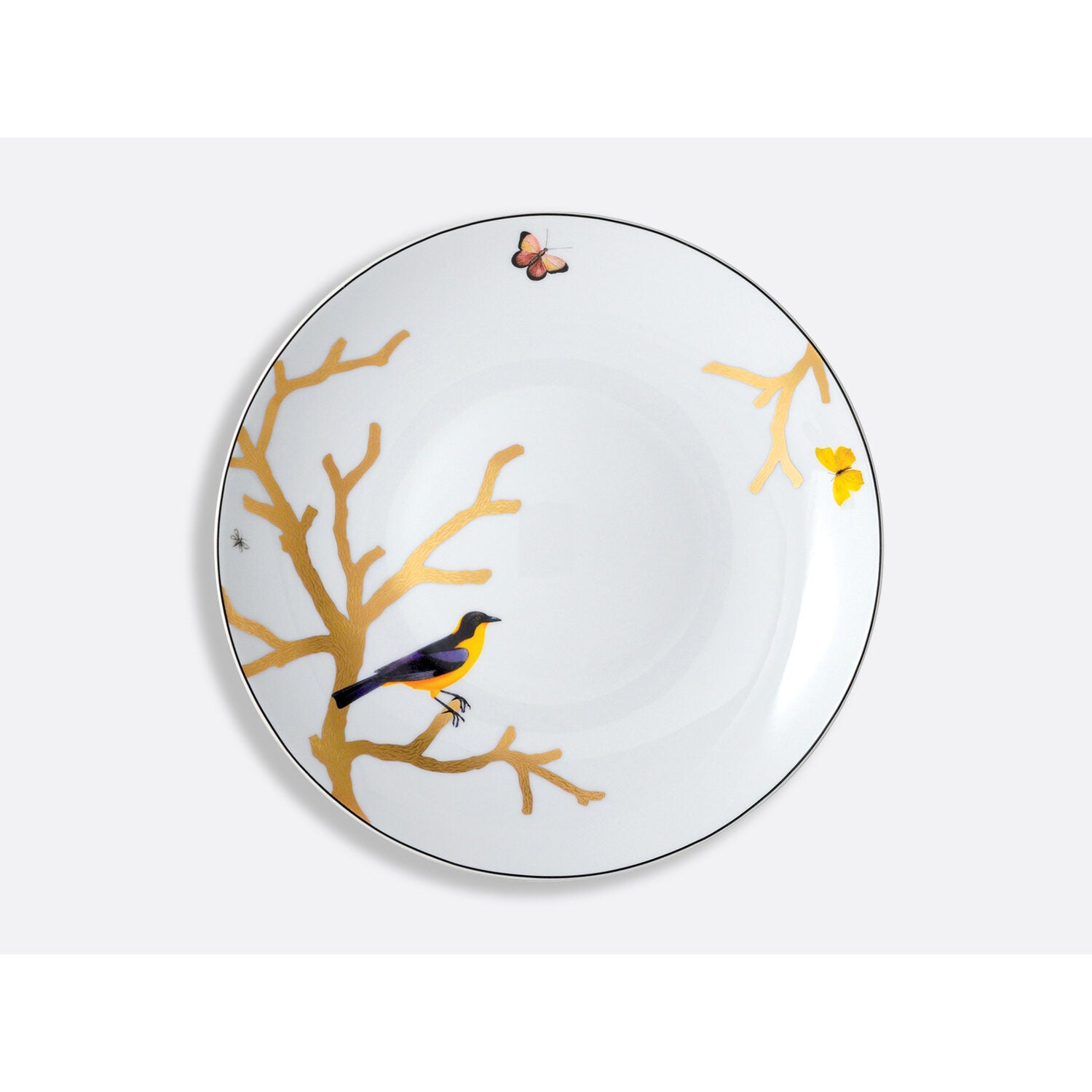 Bernardaud Deep round dish 11.5", Limoges porcelain, Aux Oiseaux collection, on a white background