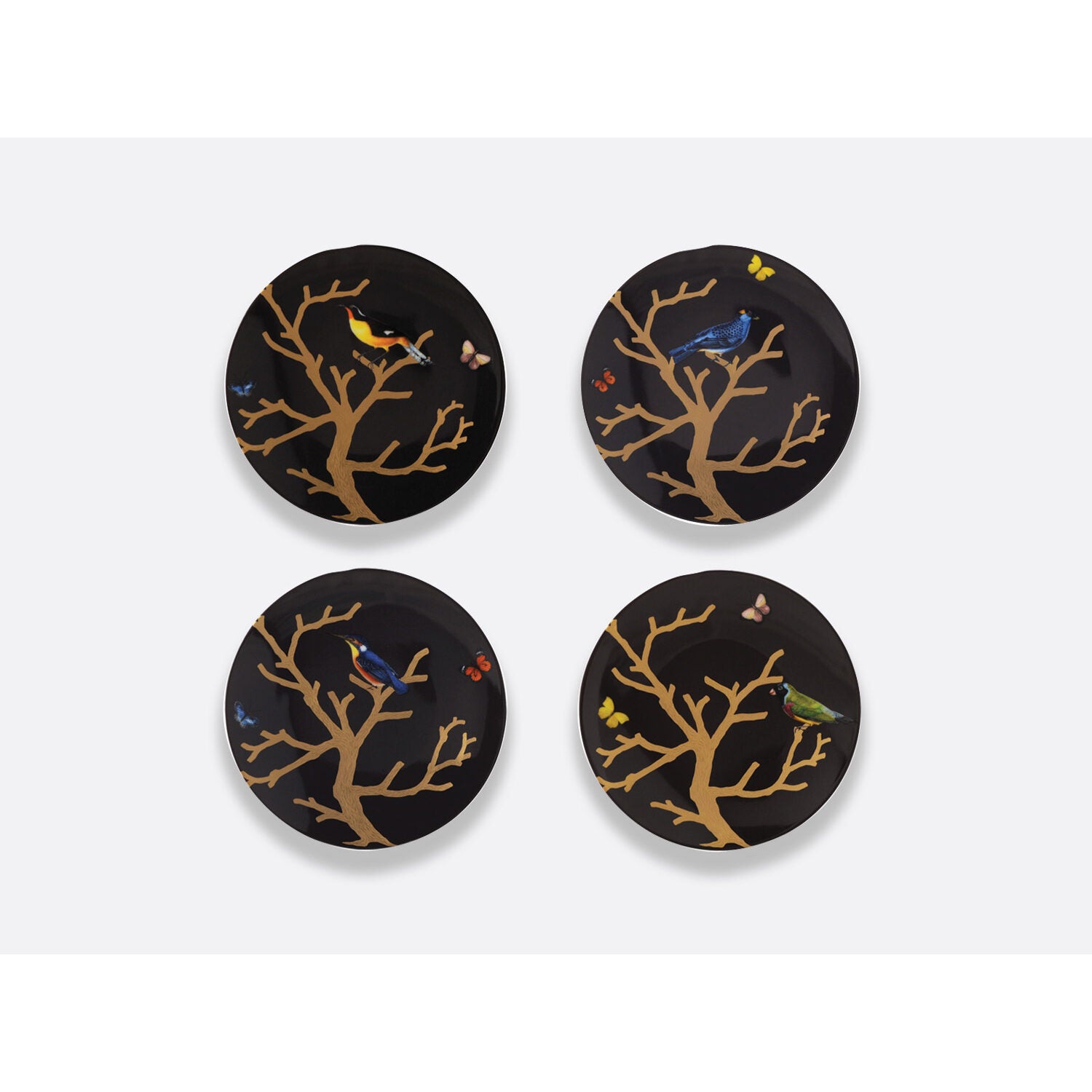 Bernardaud Gift box set of 4 Ebony salad plates 8.3", Limoges porcelain, Aux Oiseaux collection, on a white background
