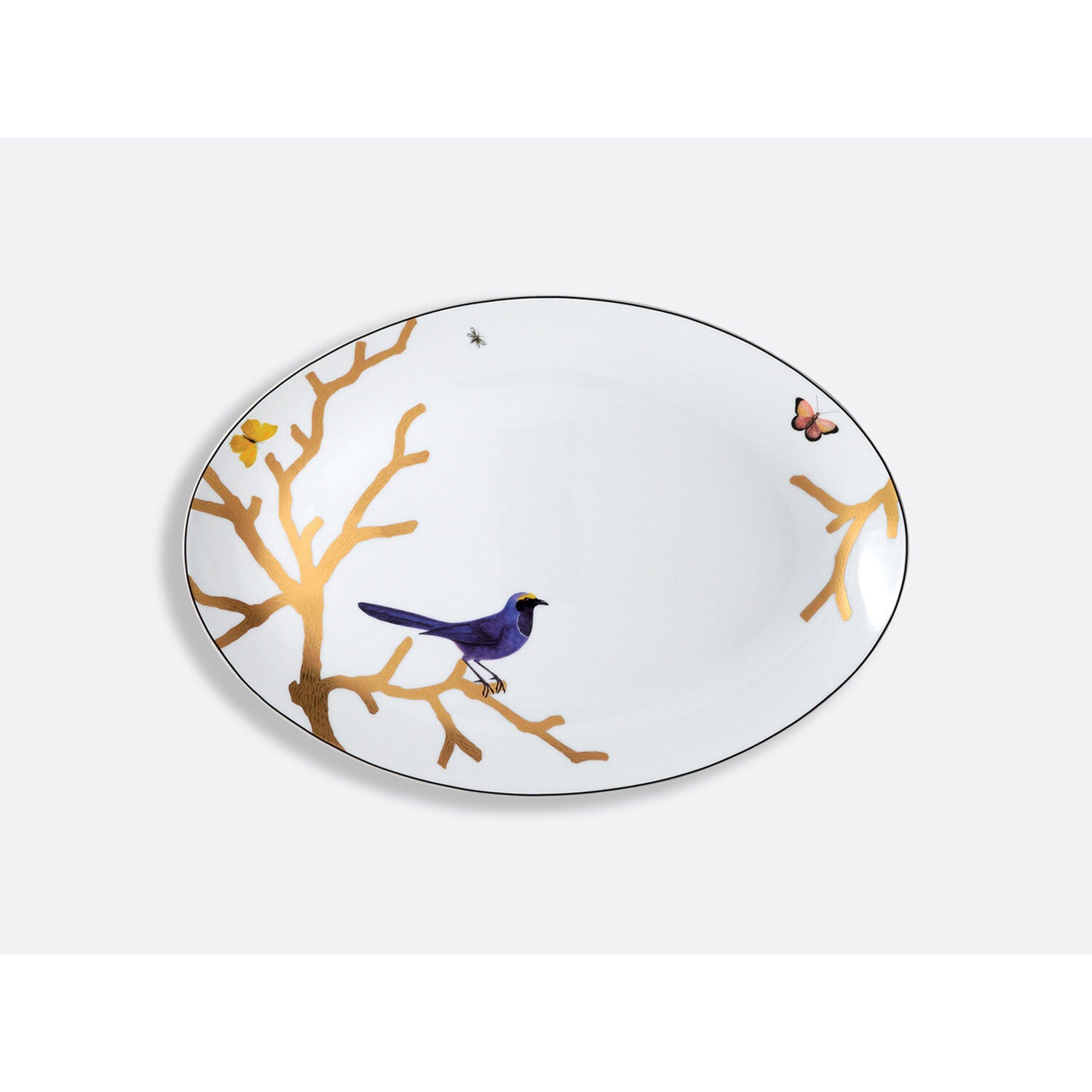 Bernardaud Oval platter 15", Limoges porcelain, Aux Oiseaux collection, on a white background