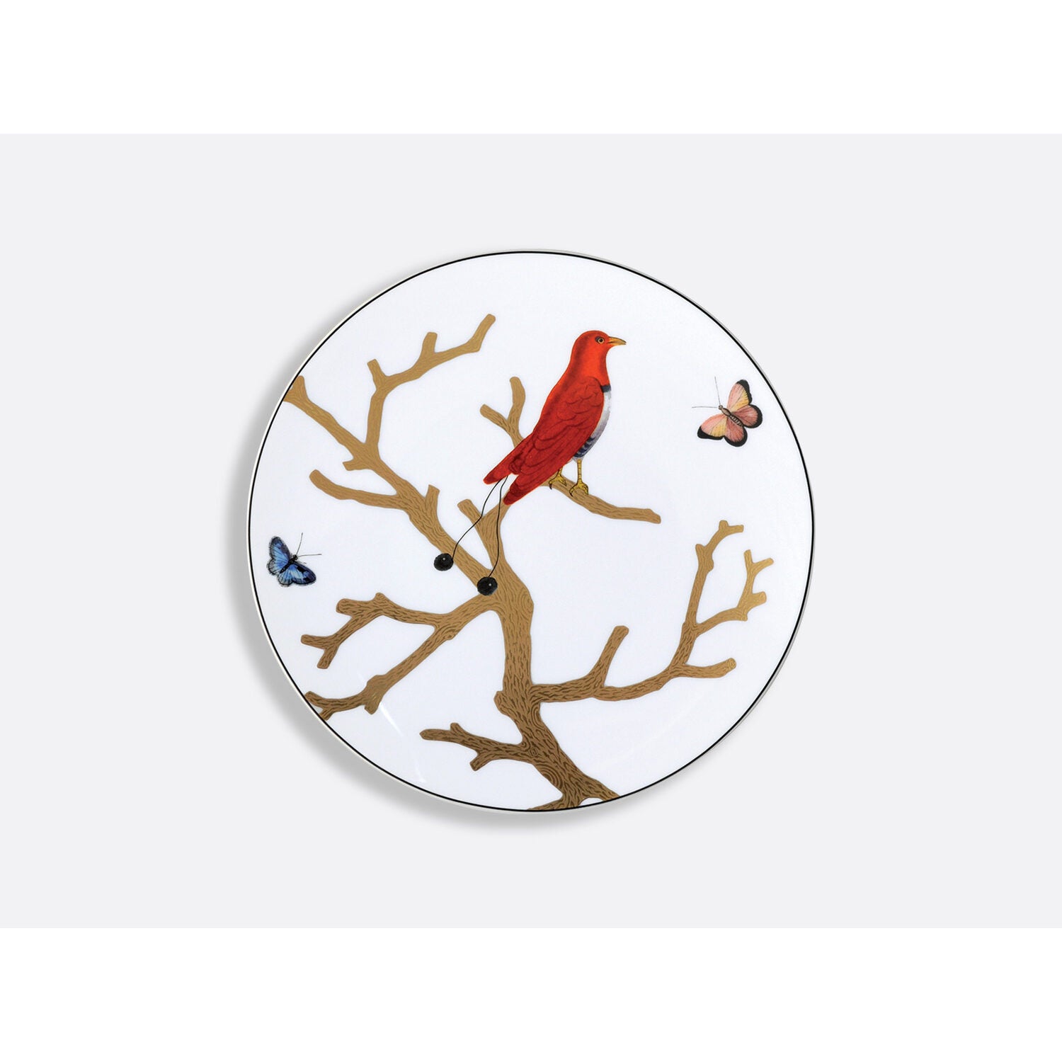 Bernardaud Salad plate 8.5", Limoges porcelain, Aux Oiseaux collection, on a white background