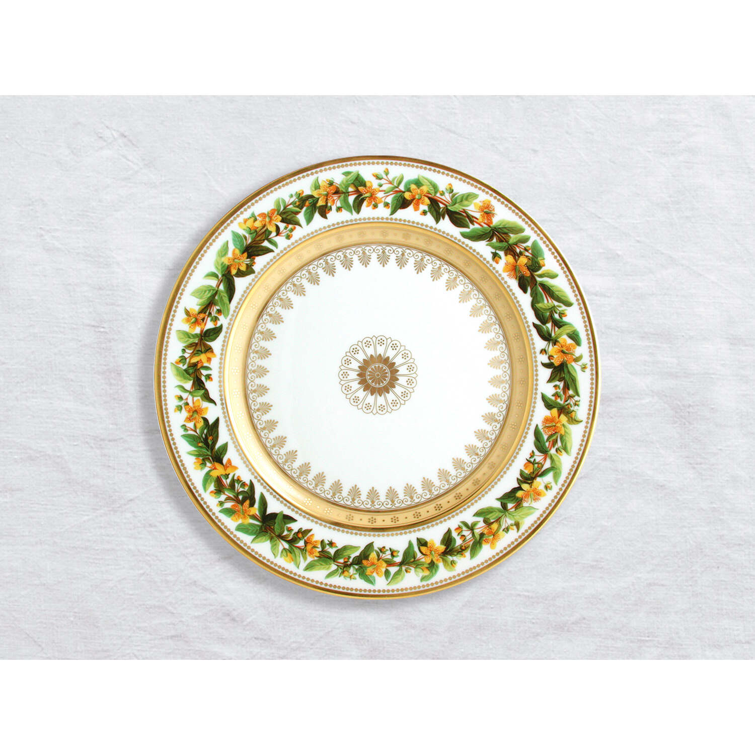 Bernardaud Dinner plate St John's wort 10.5", Limoges porcelain, Botanique collection, on a white background