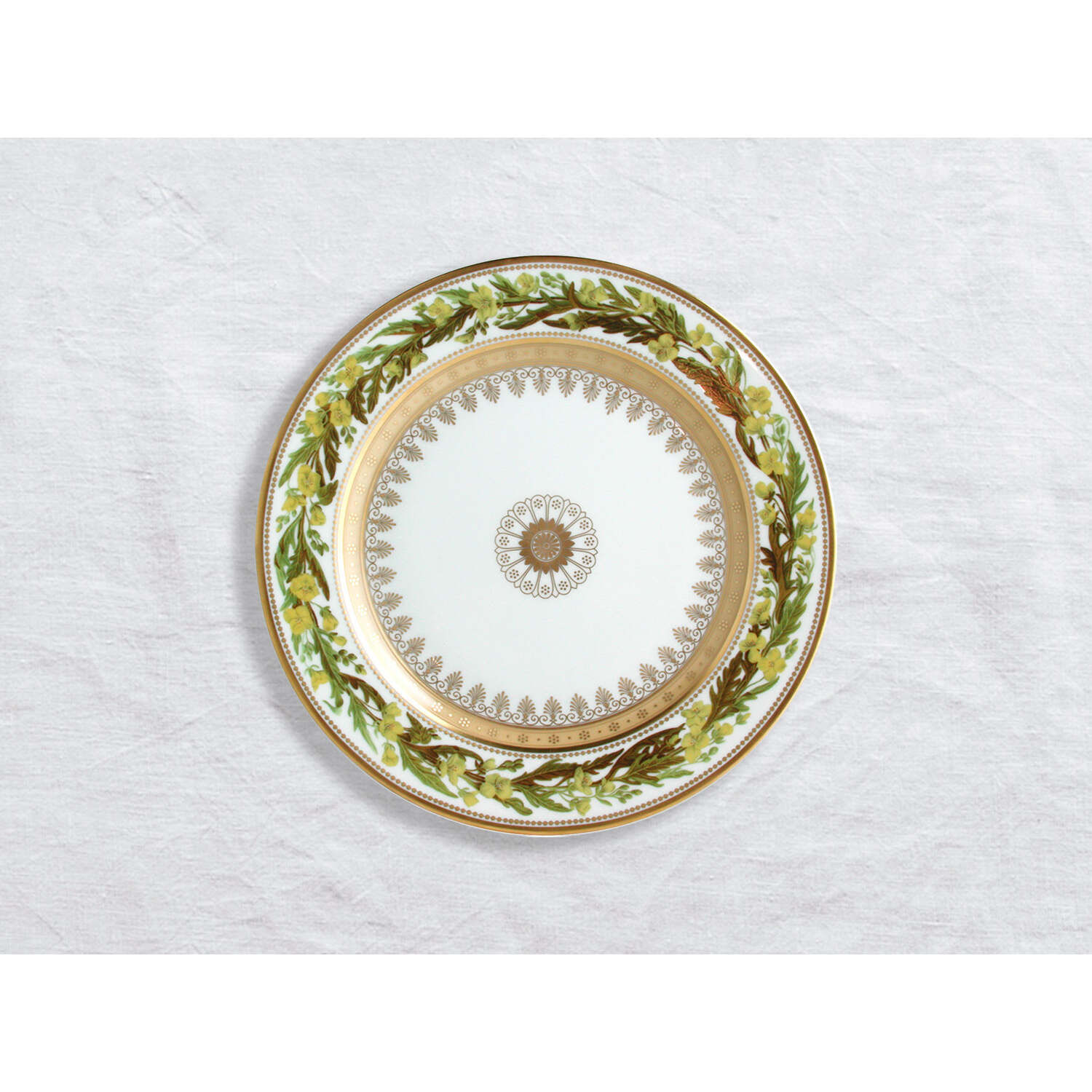 Bernardaud Salad plate Sysimbrio 8.5", Limoges porcelain, Botanique collection, on a white background