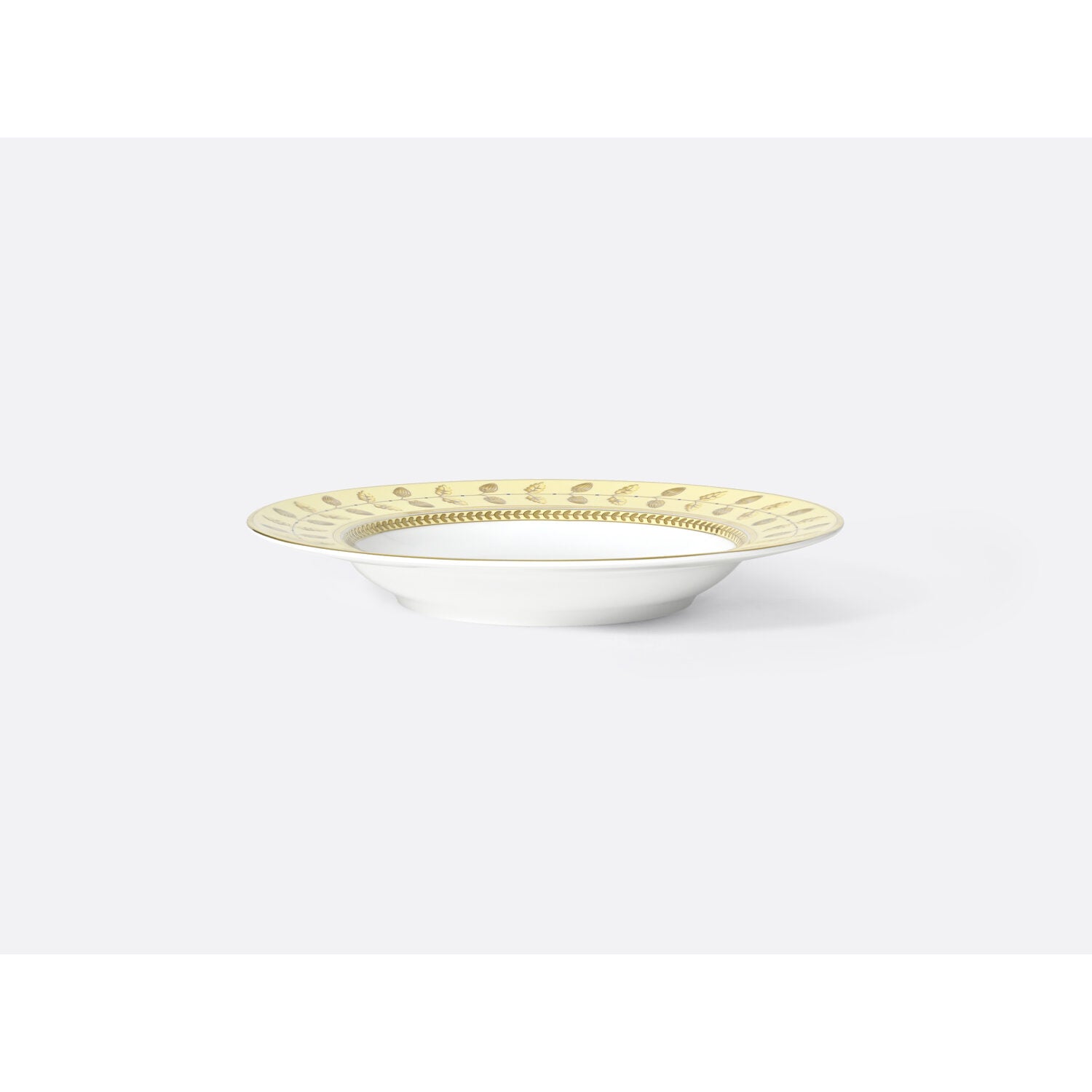 Bernardaud Rim soup 9", Limoges porcelain, Constance Jaune collection, detail view