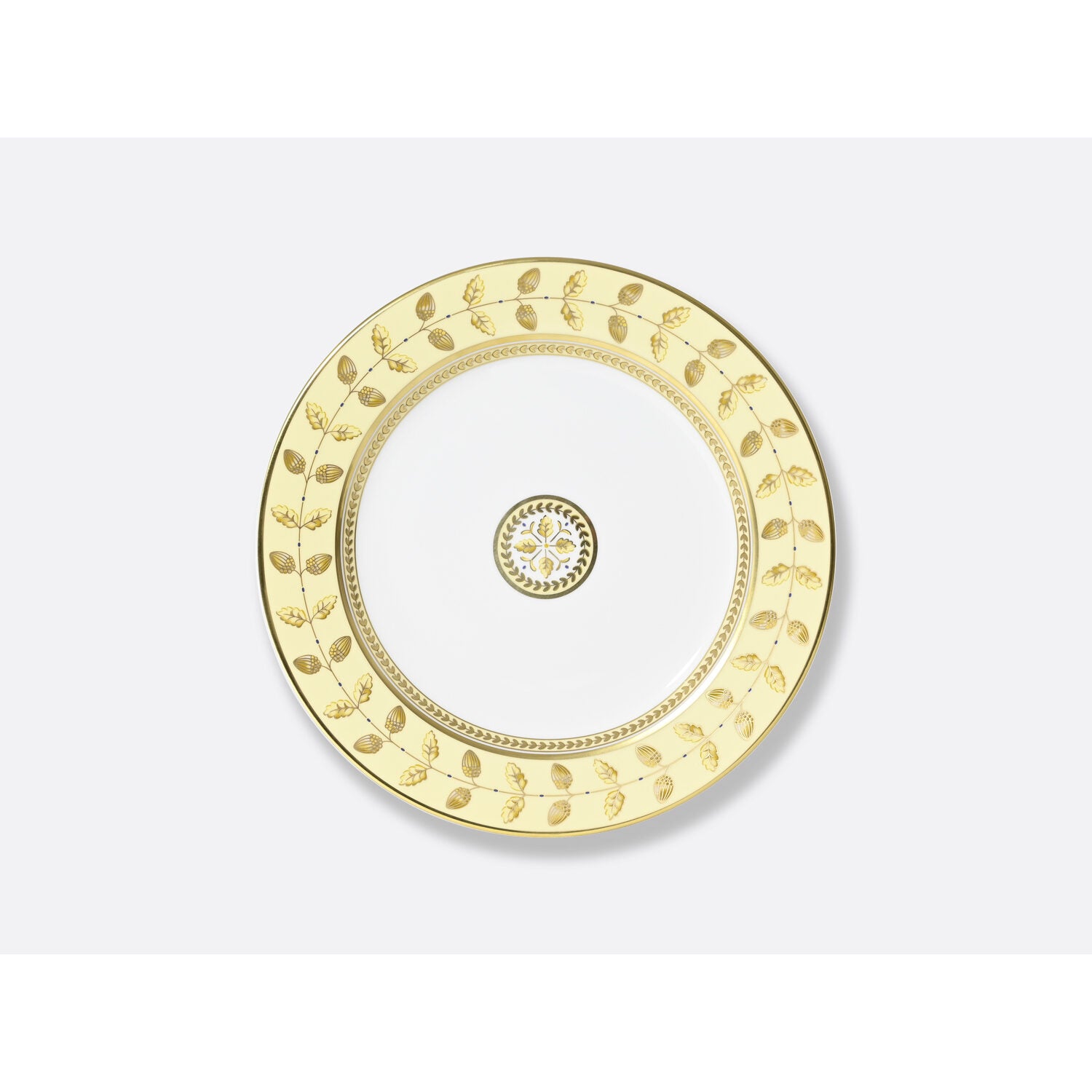 Bernardaud Salad plate 8.5", Limoges porcelain, Constance Jaune collection, on a white background