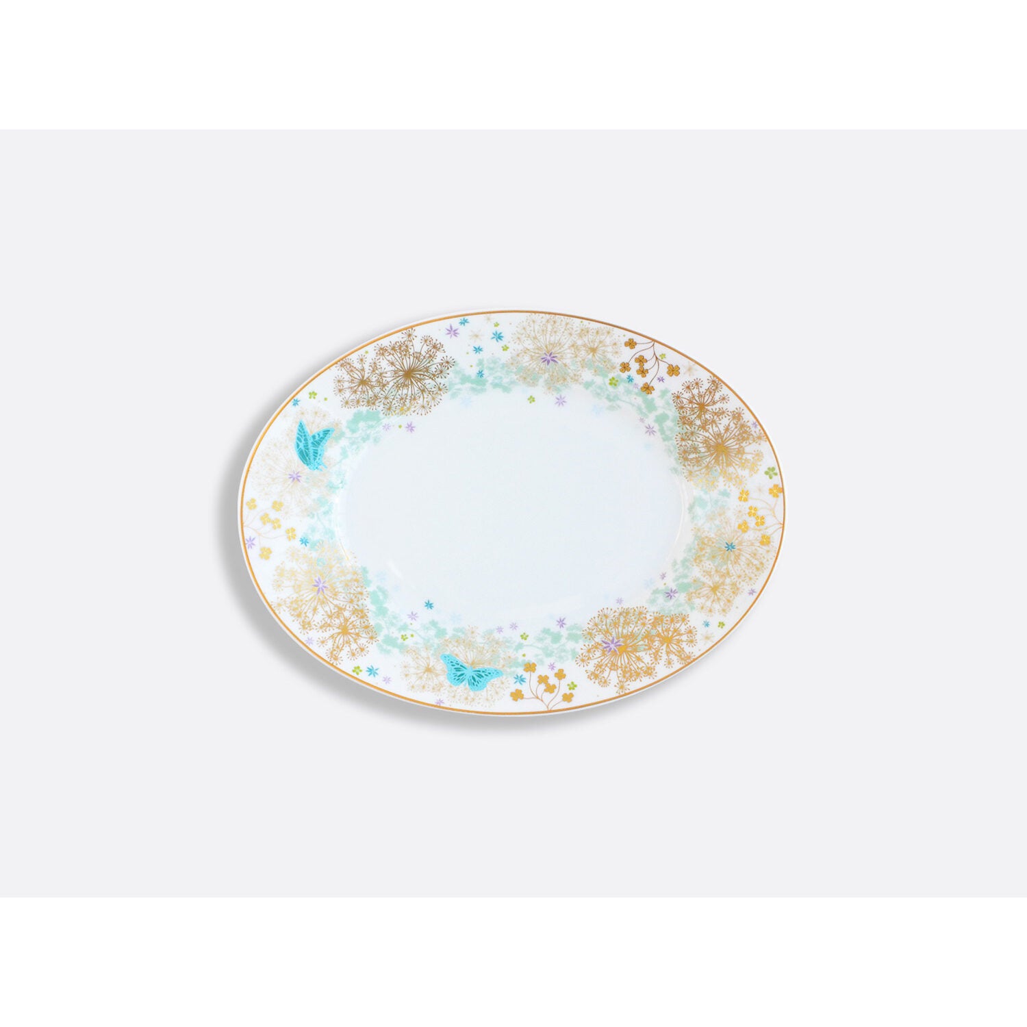 Bernardaud Relish dish 9" x 5", Limoges porcelain, Féerie collection, on a white background