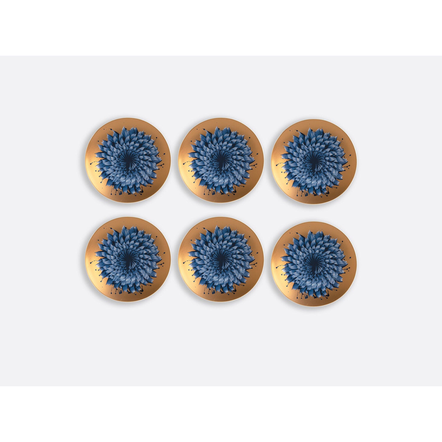 Bernardaud Set of 6 dessert plates 8.5", Limoges porcelain, In Bloom collection, on a white background