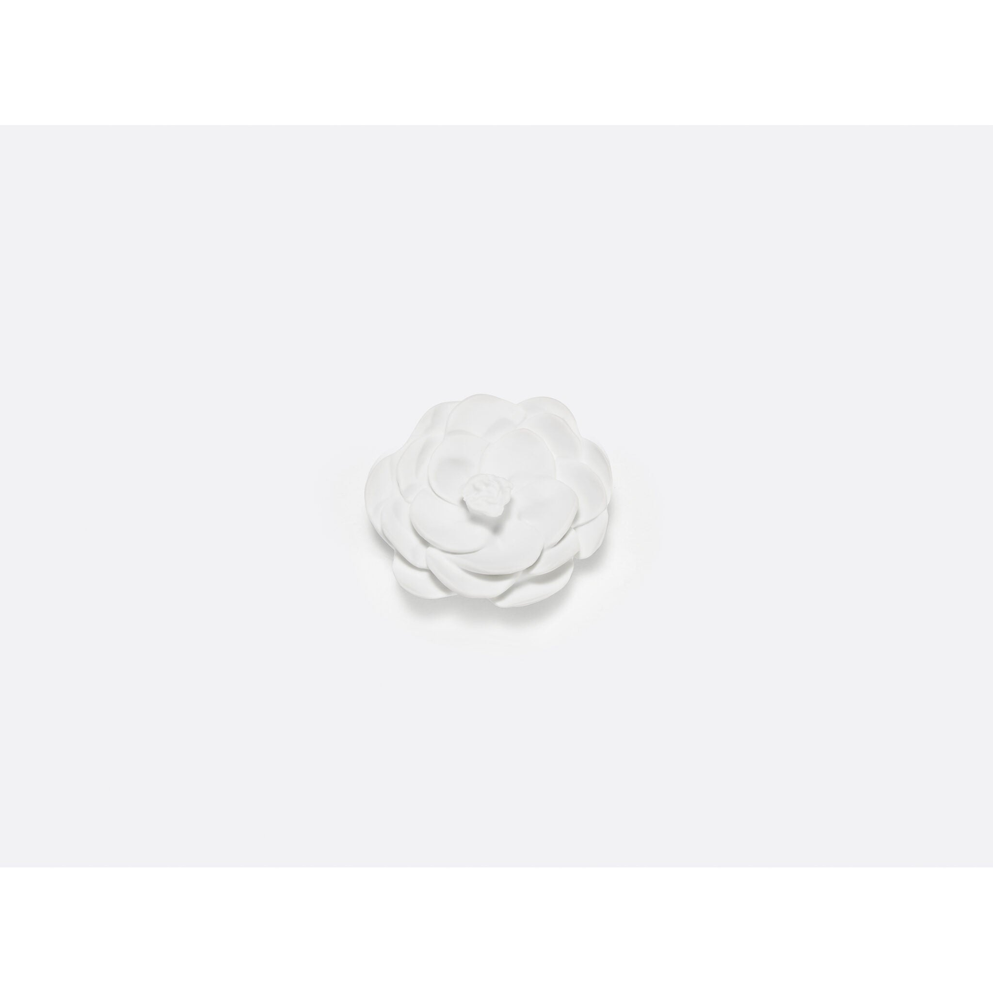 Bernardaud Tsubaki - Camellia, Limoges porcelain, Jardin de Table - Kazuyo Sejima collection, on a white background