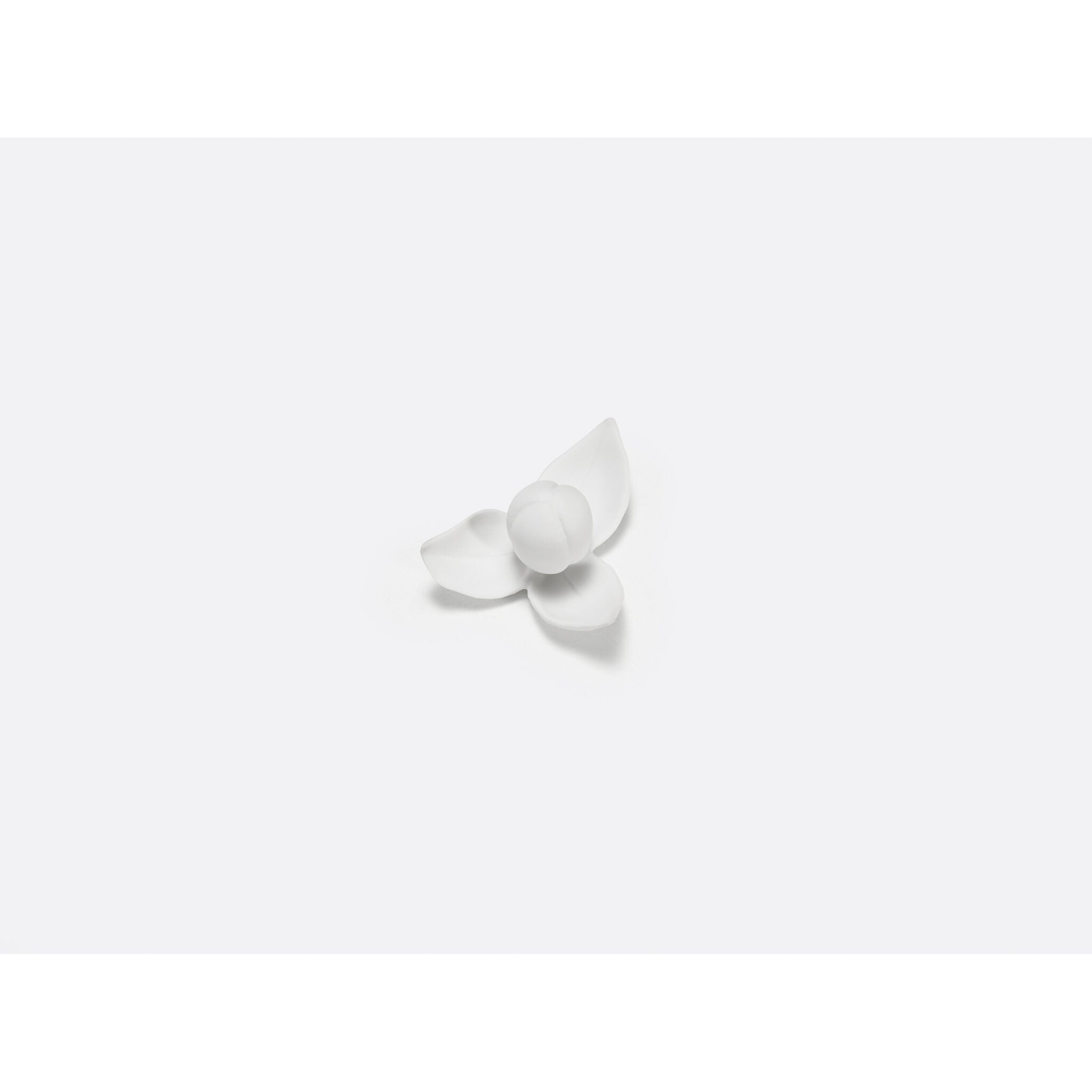Bernardaud Yuri - Lily, Limoges porcelain, Jardin de Table - Kazuyo Sejima collection, on a white background
