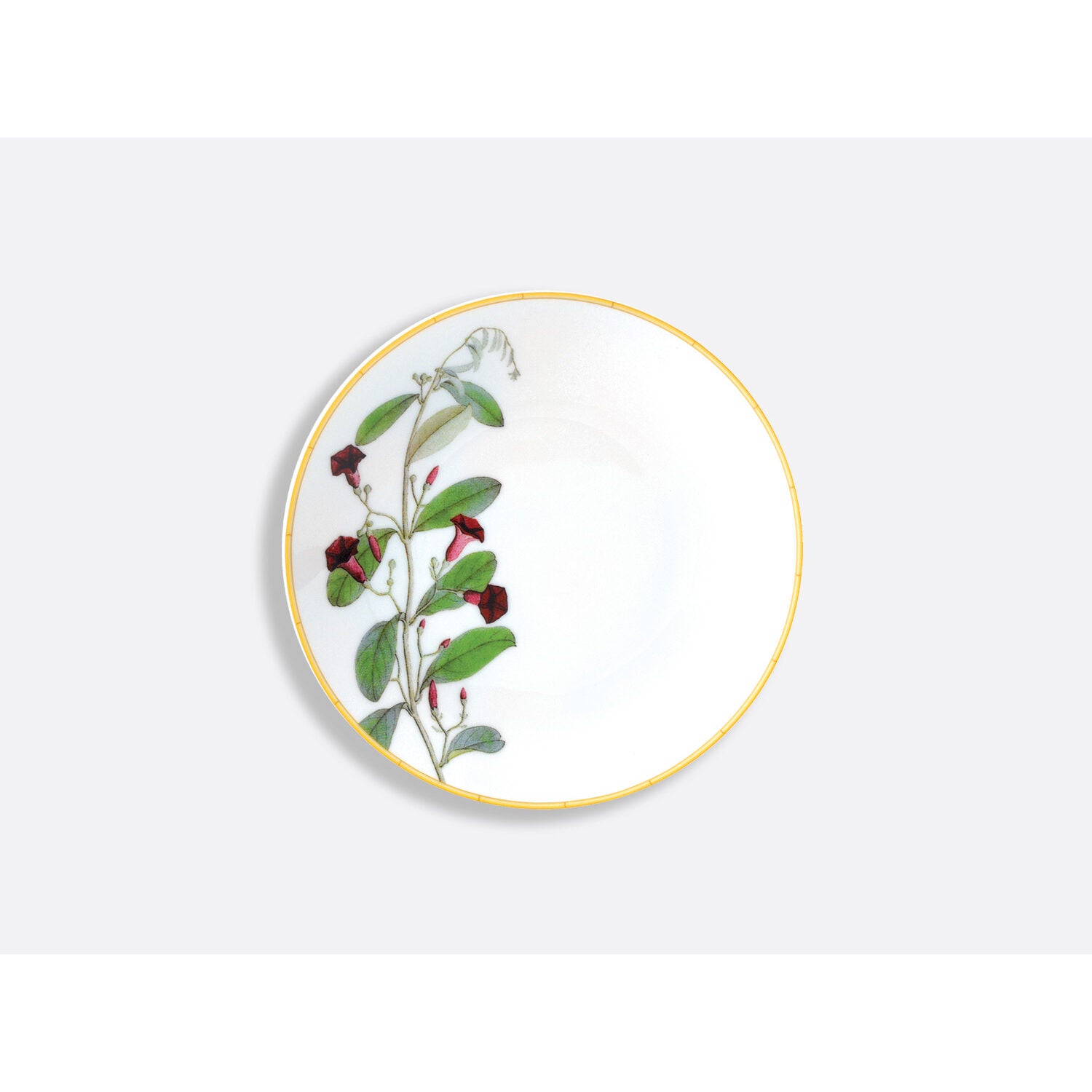 Bernardaud Bread and butter plate 6.3", Limoges porcelain, Jardin Indien collection, on a white background