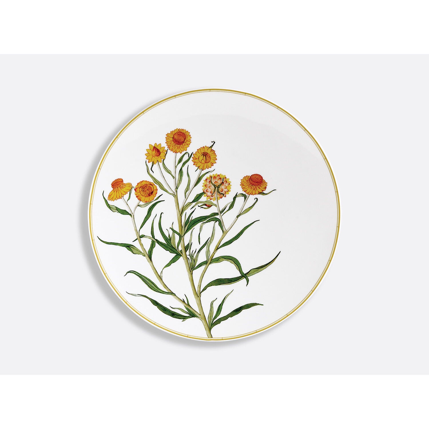 Bernardaud Coupe plate 10.6", Limoges porcelain, Jardin Indien collection, on a white background
