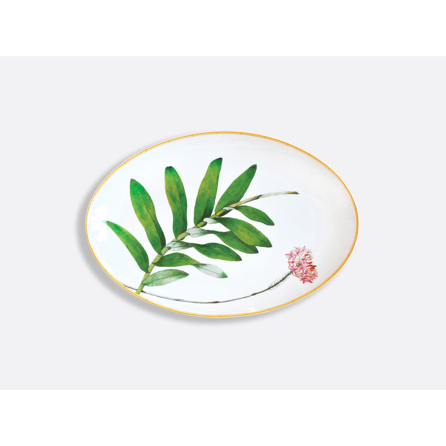 Bernardaud Oval platter 15", Limoges porcelain, Jardin Indien collection, on a white background