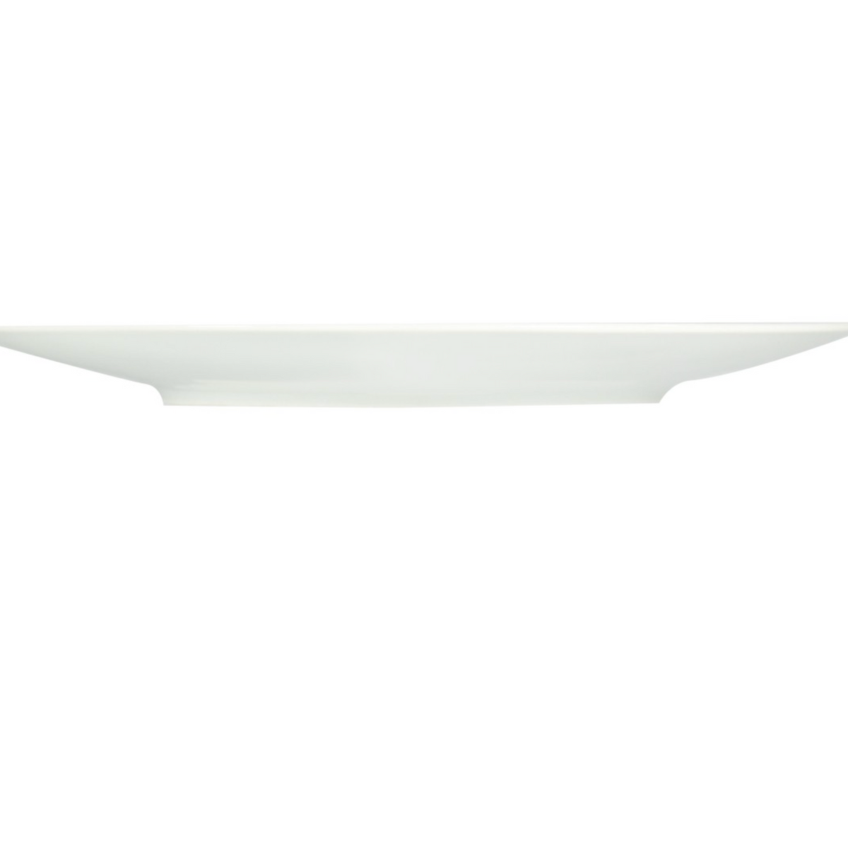 bernardaud-organza-coupe-dinner-plate-10.2in-5602-20329-paris-tableware-side