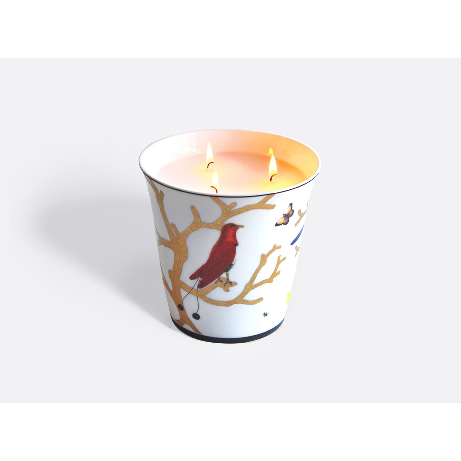 Bernardaud Large candle tumbler 5.9" + "Rue des Archives" candle home fragrance 950 gr, Limoges porcelain, Scented Candle Tumblers collection, on a white background