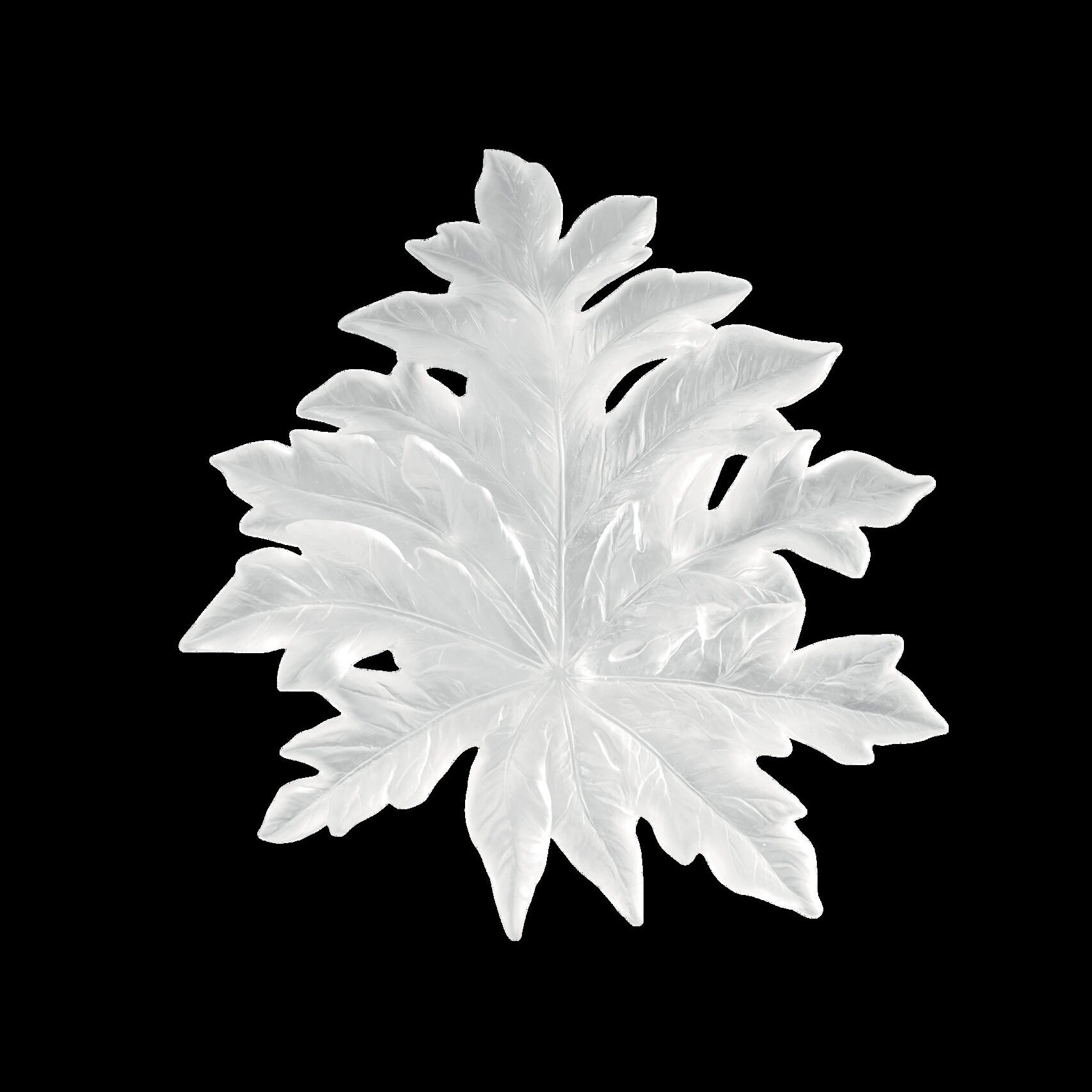 Daum Bornéo Small Wall Leaf Fixing By Emilio Robba Wall Sculpture — long White