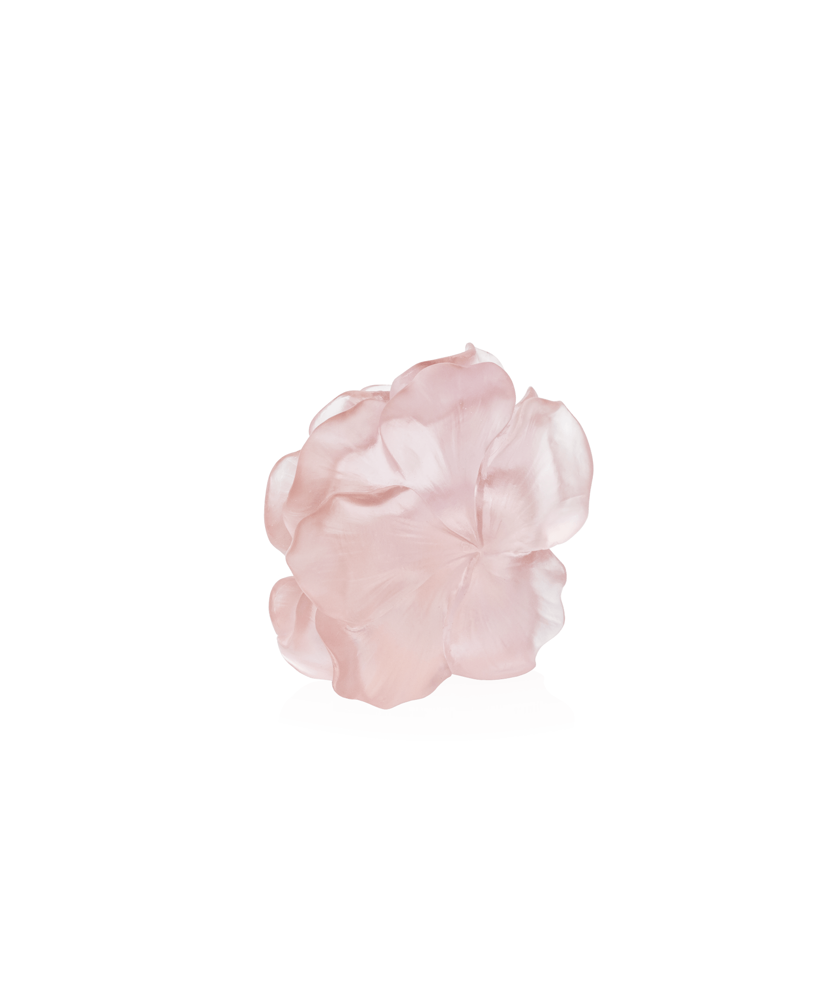 Daum Camelia Decorative Flower Sculpture β Pink