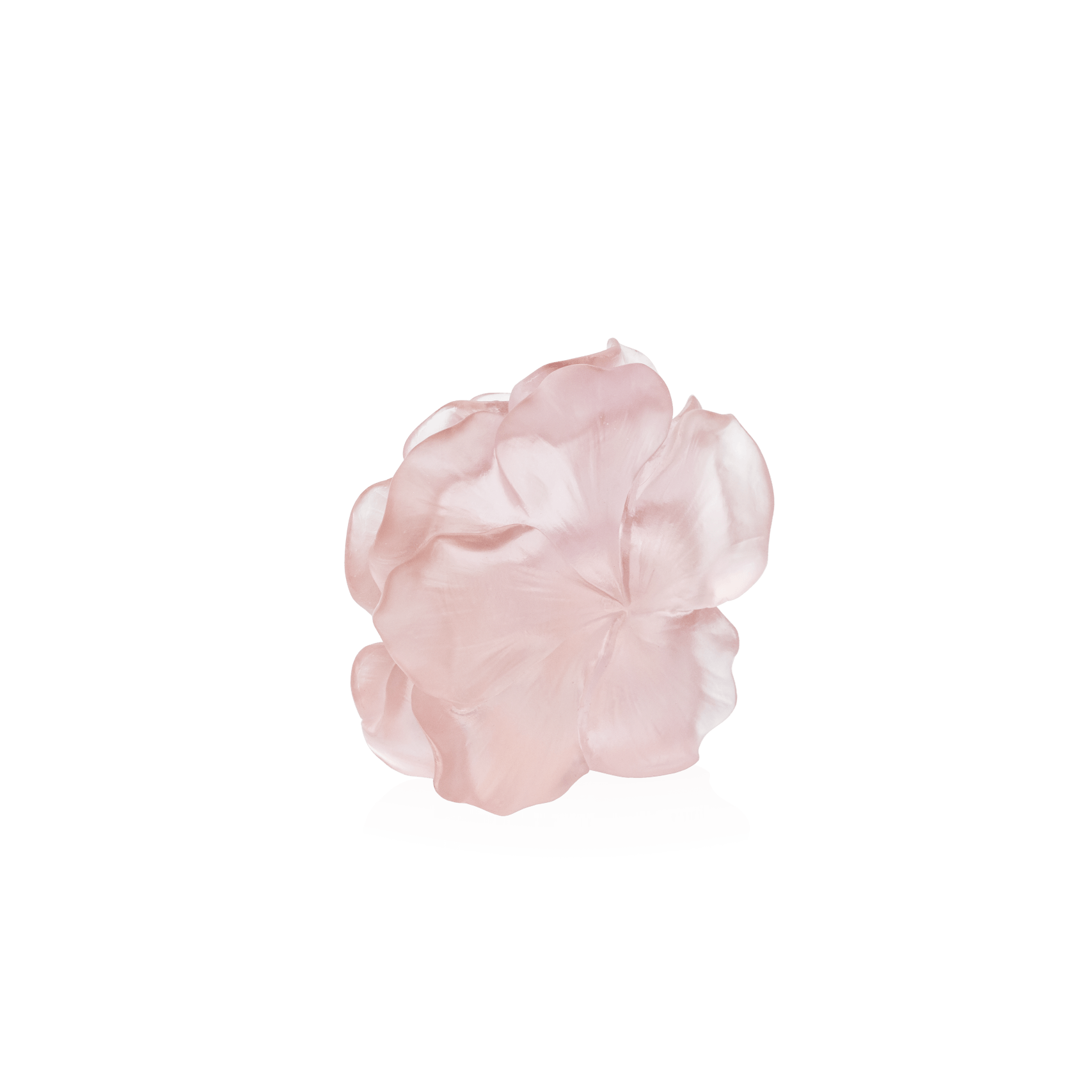 Daum Camelia Decorative Flower Sculpture — Pink