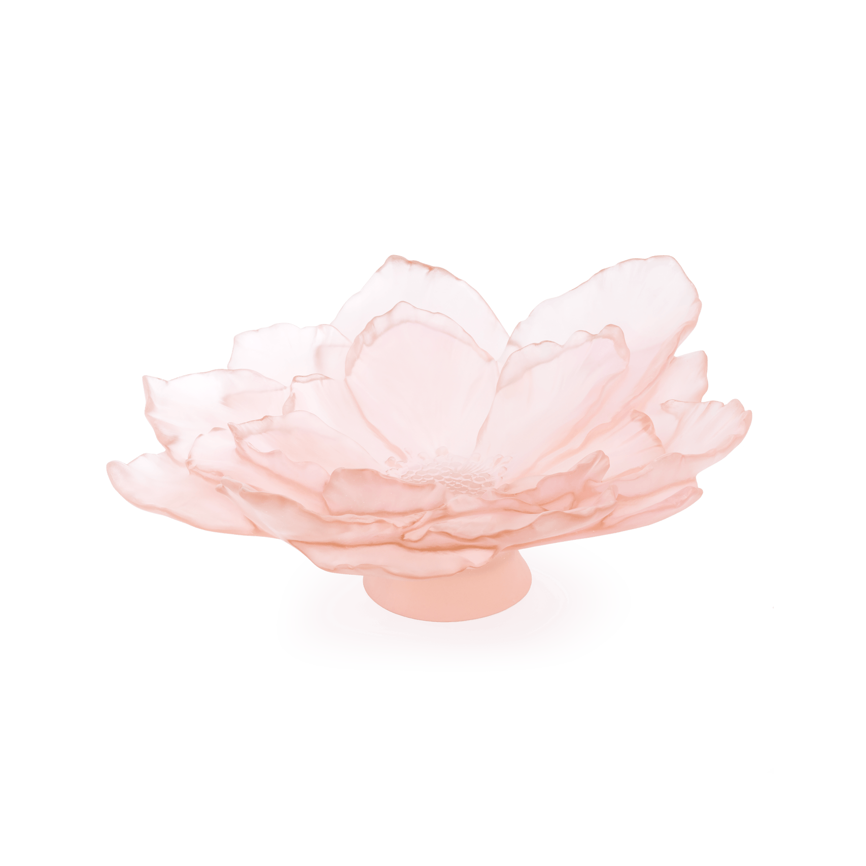 Daum Camelia Large Bowl — Pink