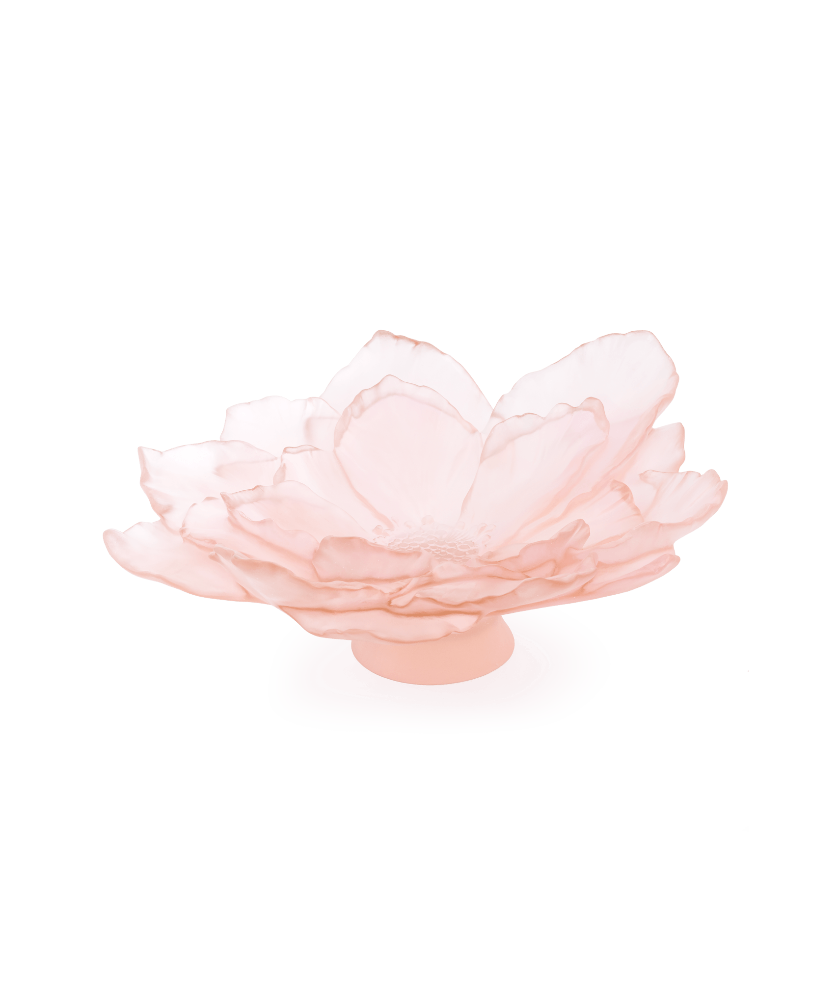 Daum Camelia Large Bowl — Pink