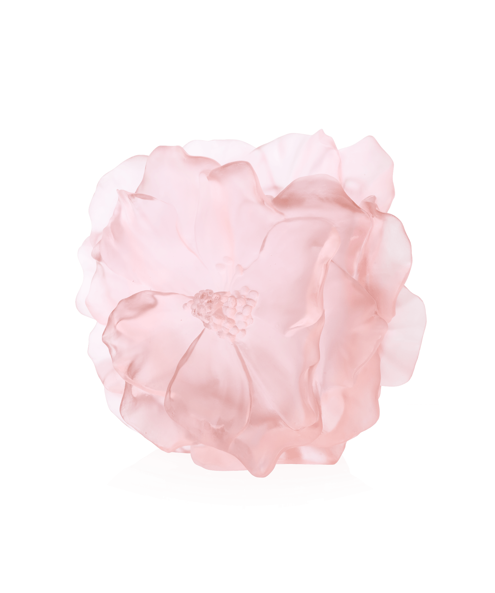 Daum Camelia Large Vase β Pink