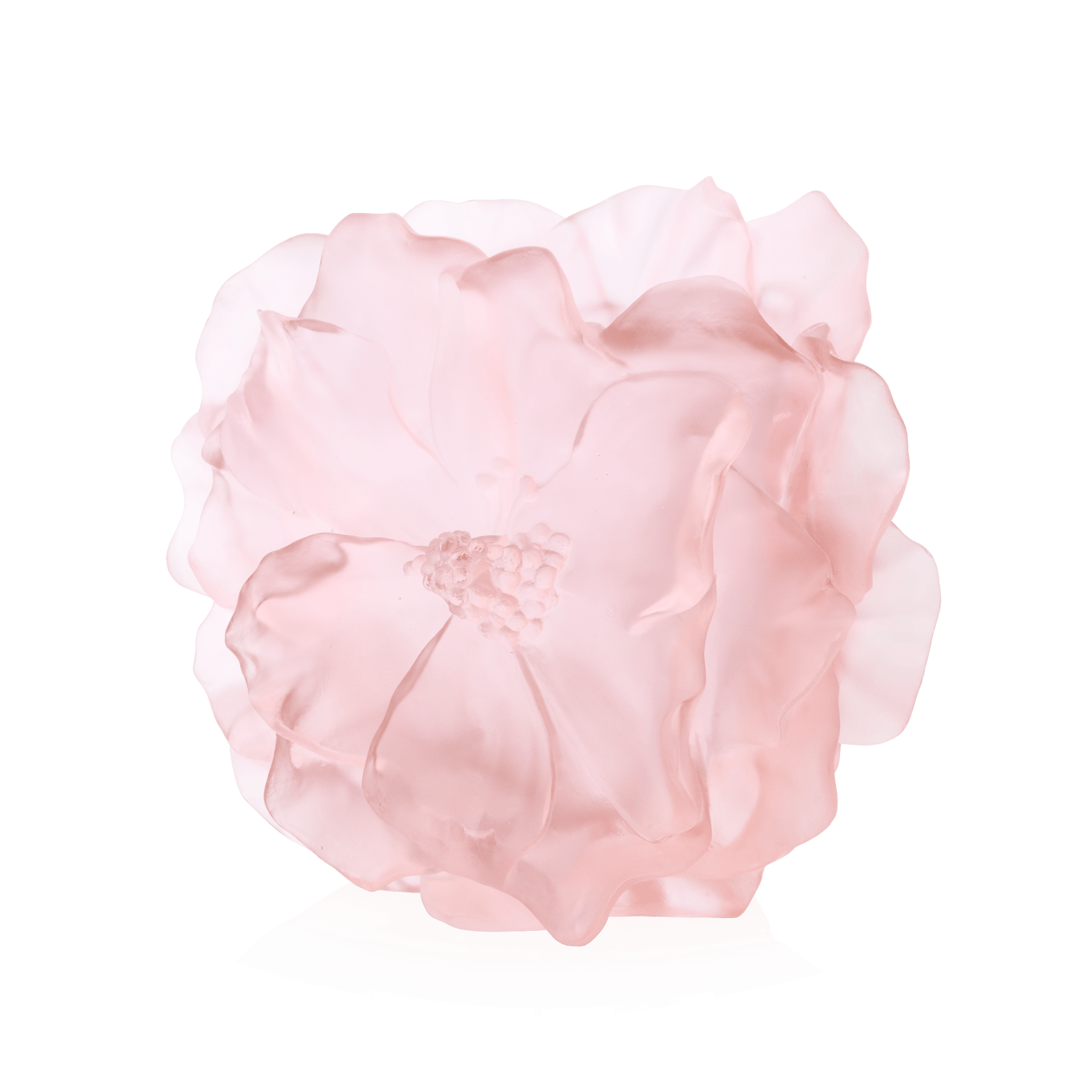 Daum Camelia Large Vase — Pink