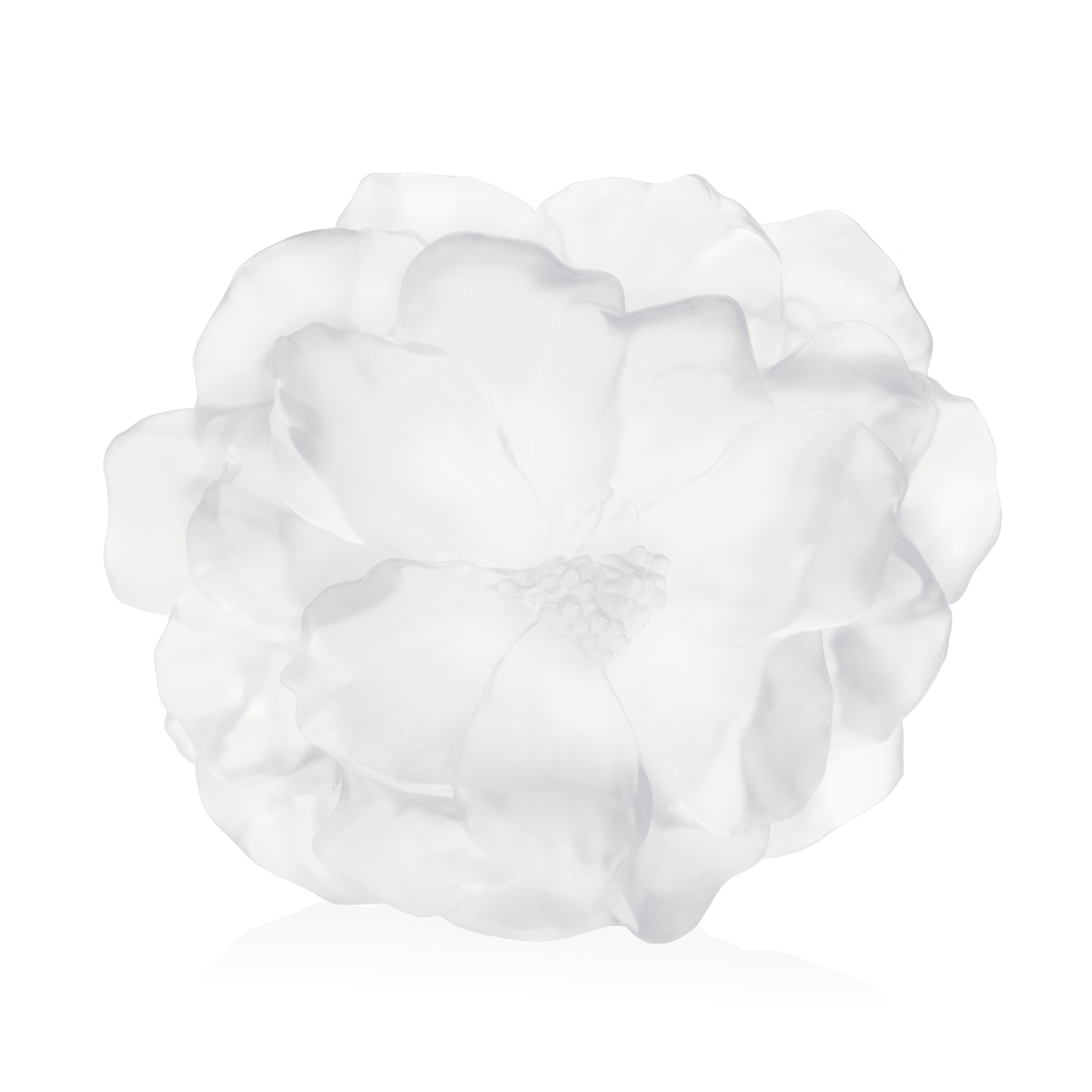 Daum Camelia Large Vase — White