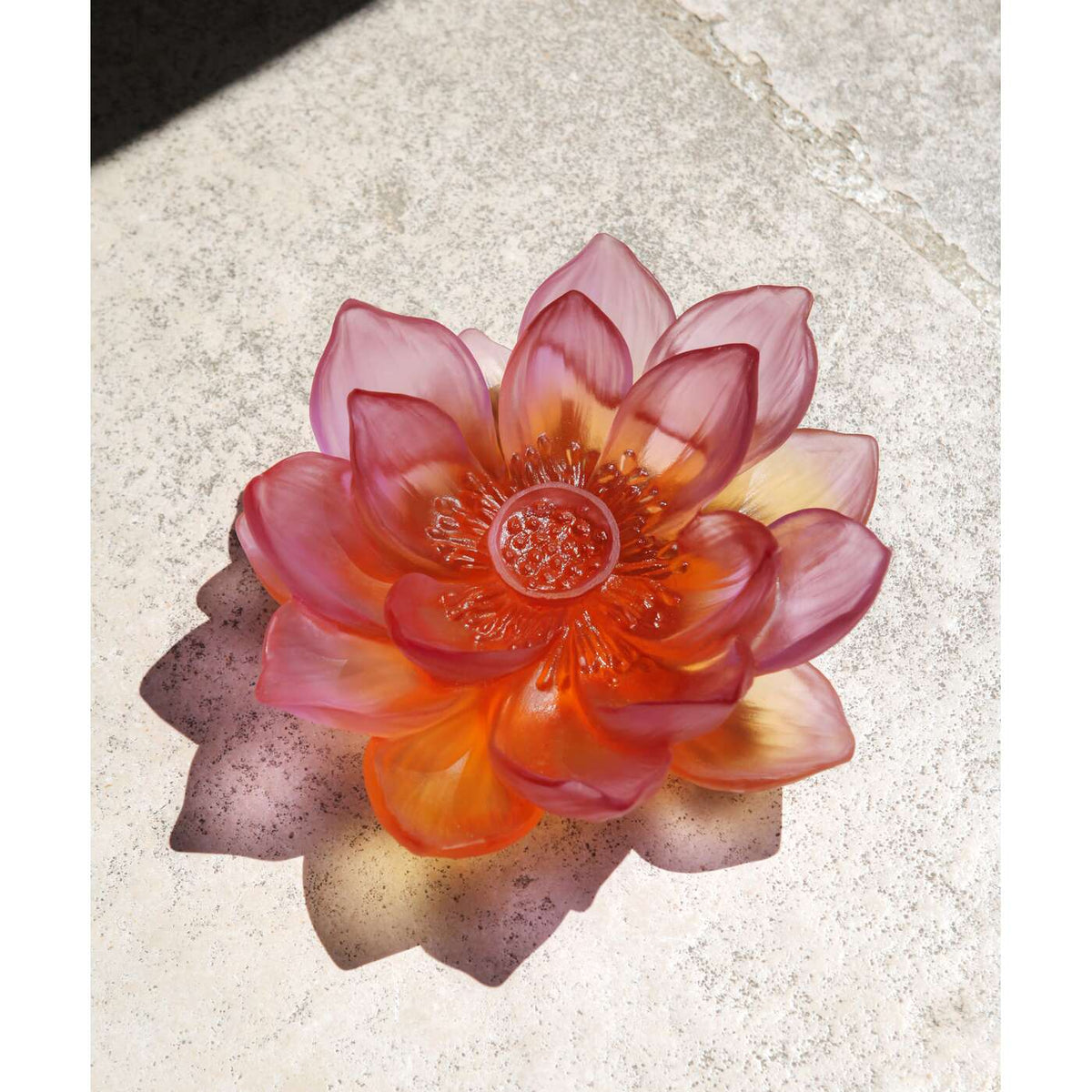 Daum Jardin De Lotus Decorative Flower Sculpture – Amber pink, alternate view
