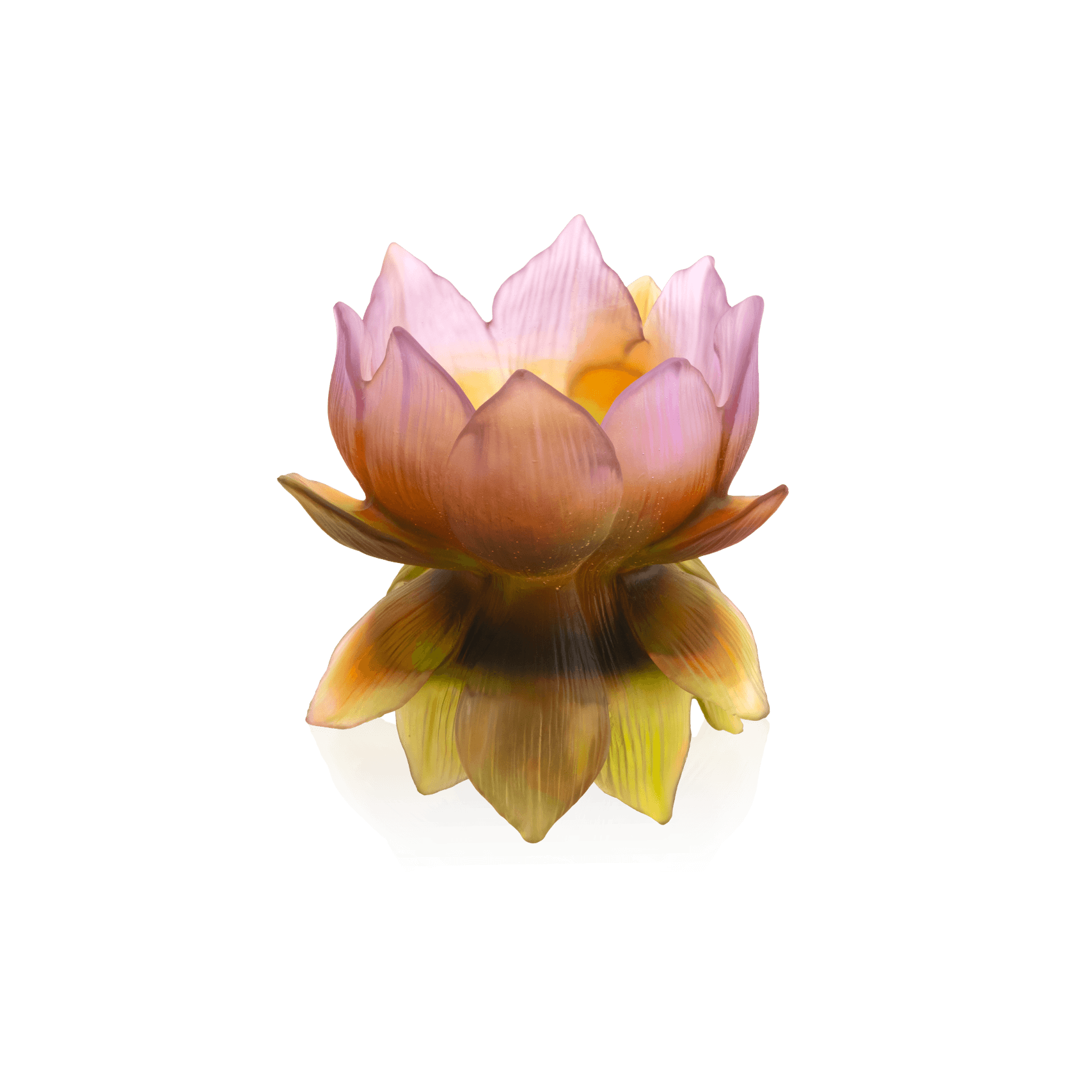 Daum Jardin De Lotus Medium Vase 175ex