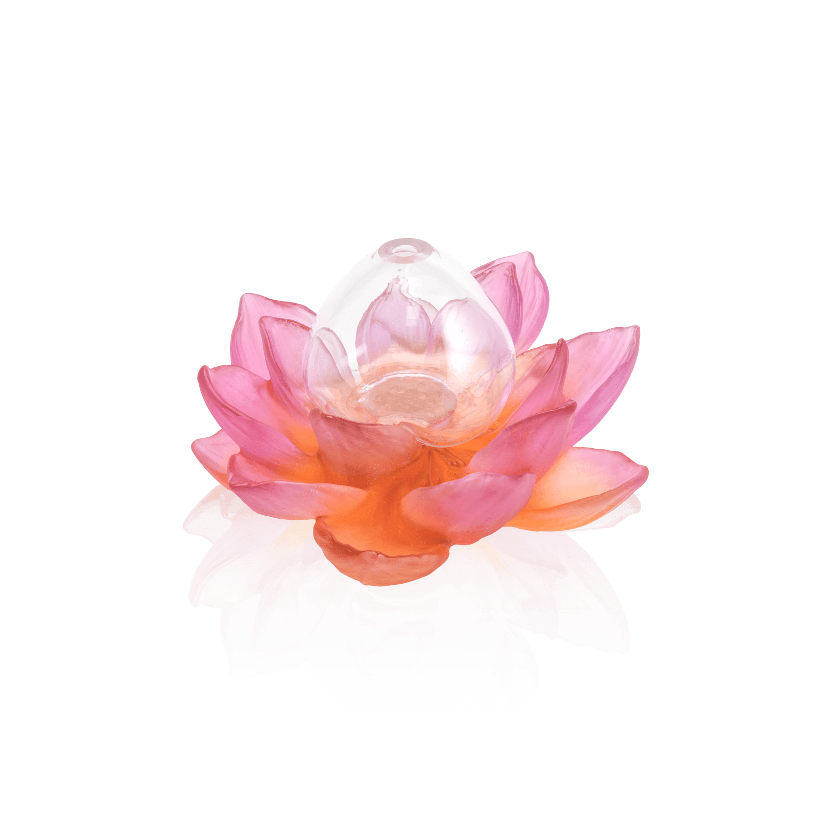 Daum Jardin De Lotus Soliflore Vase — Amber pink