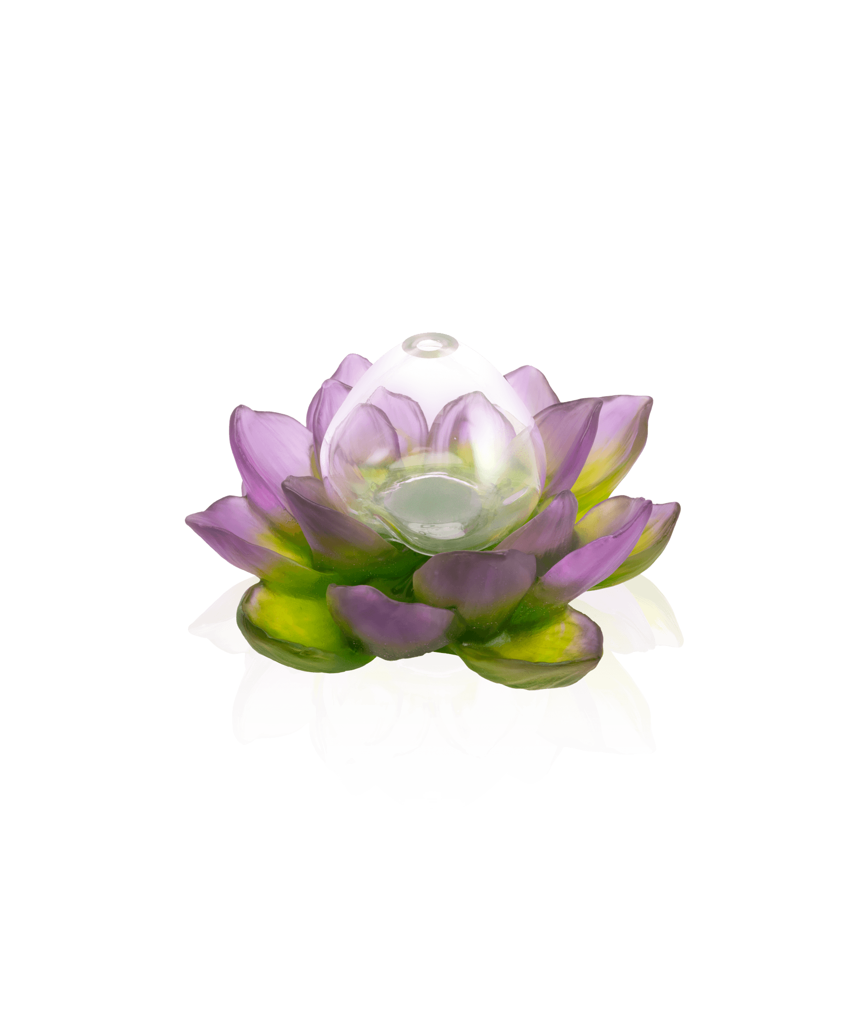 Daum Jardin De Lotus Soliflore Vase β Purple green