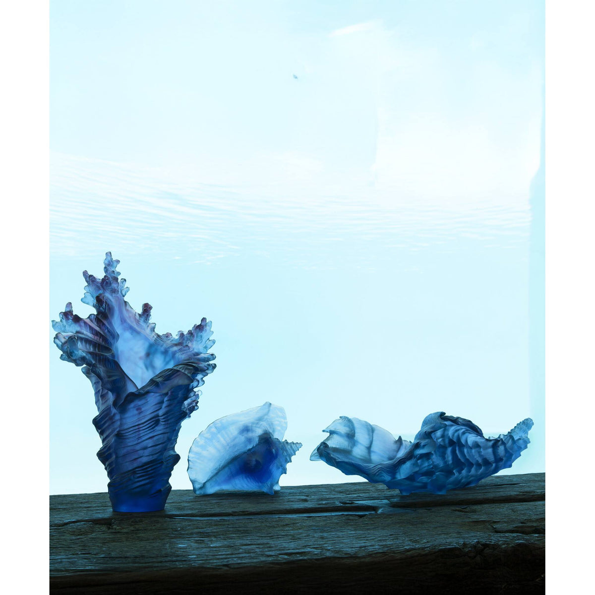 Daum Mer De Corail Large Shell Sculpture, alternate view