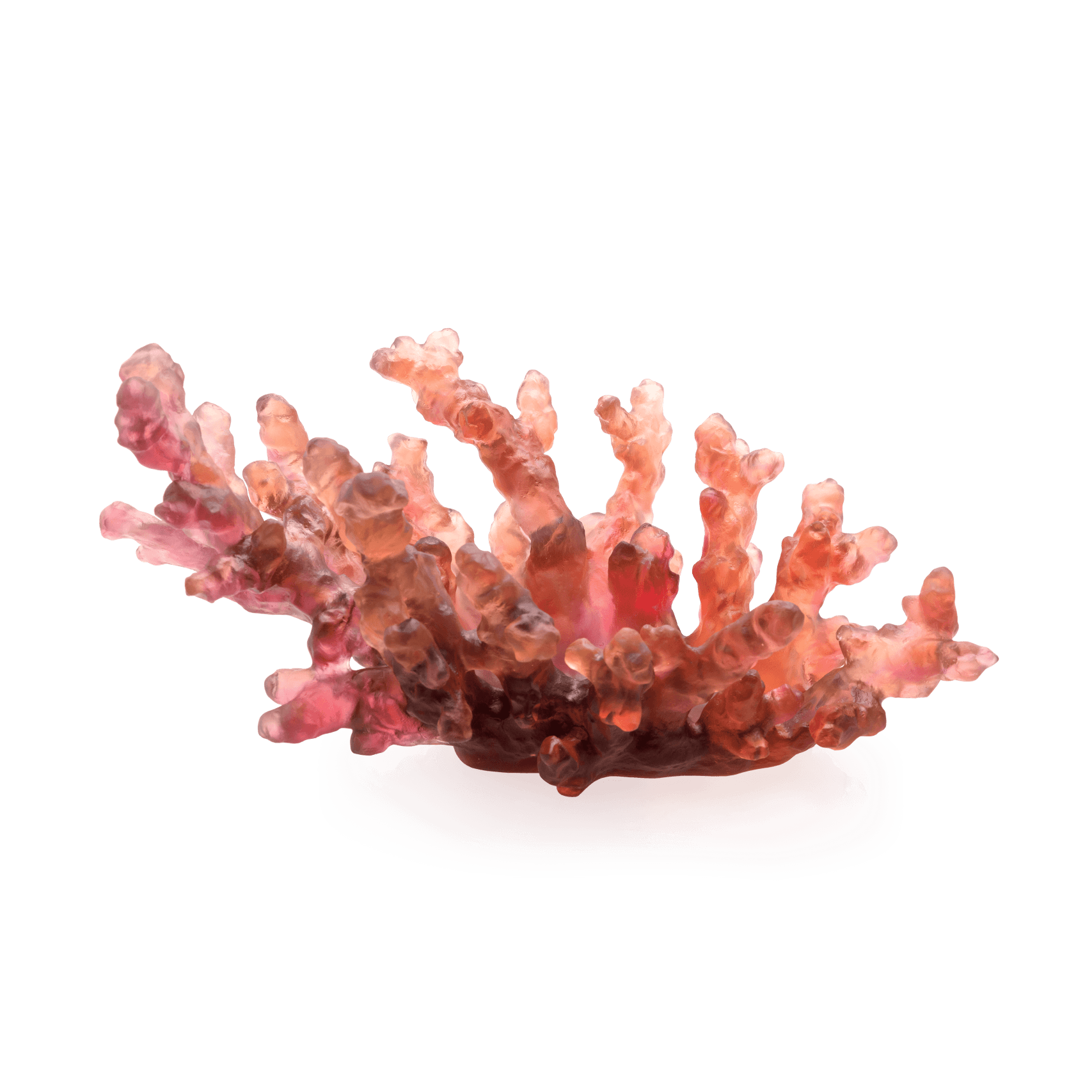Daum Mer De Corail Medium Bowl Red — Amber