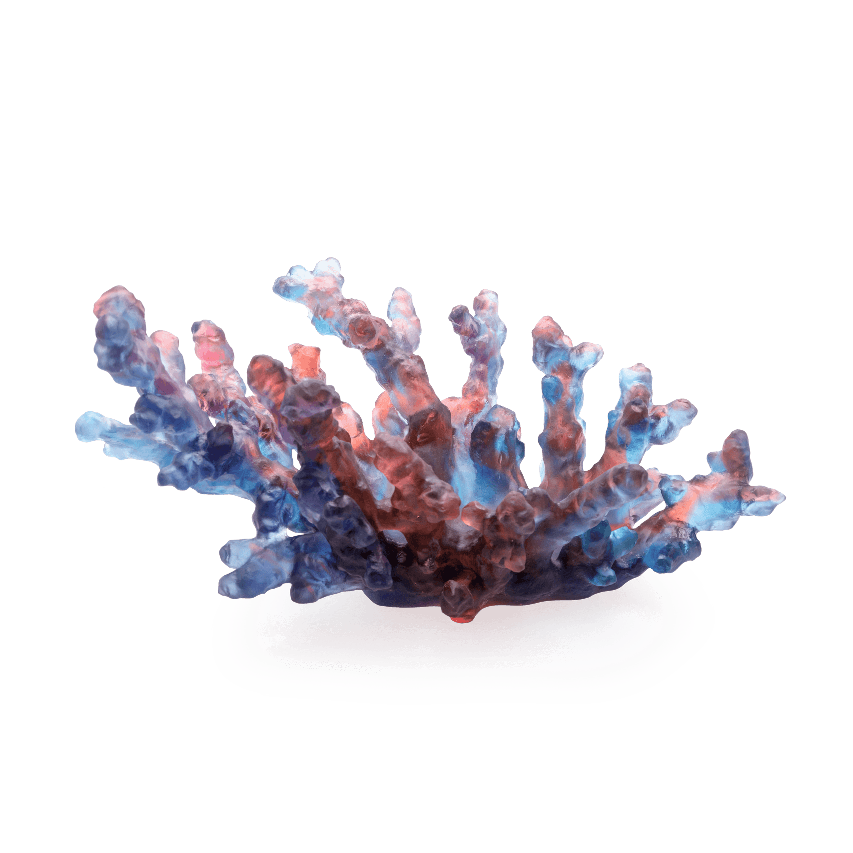 Daum Mer De Corail Medium Bowl Red — Blue and