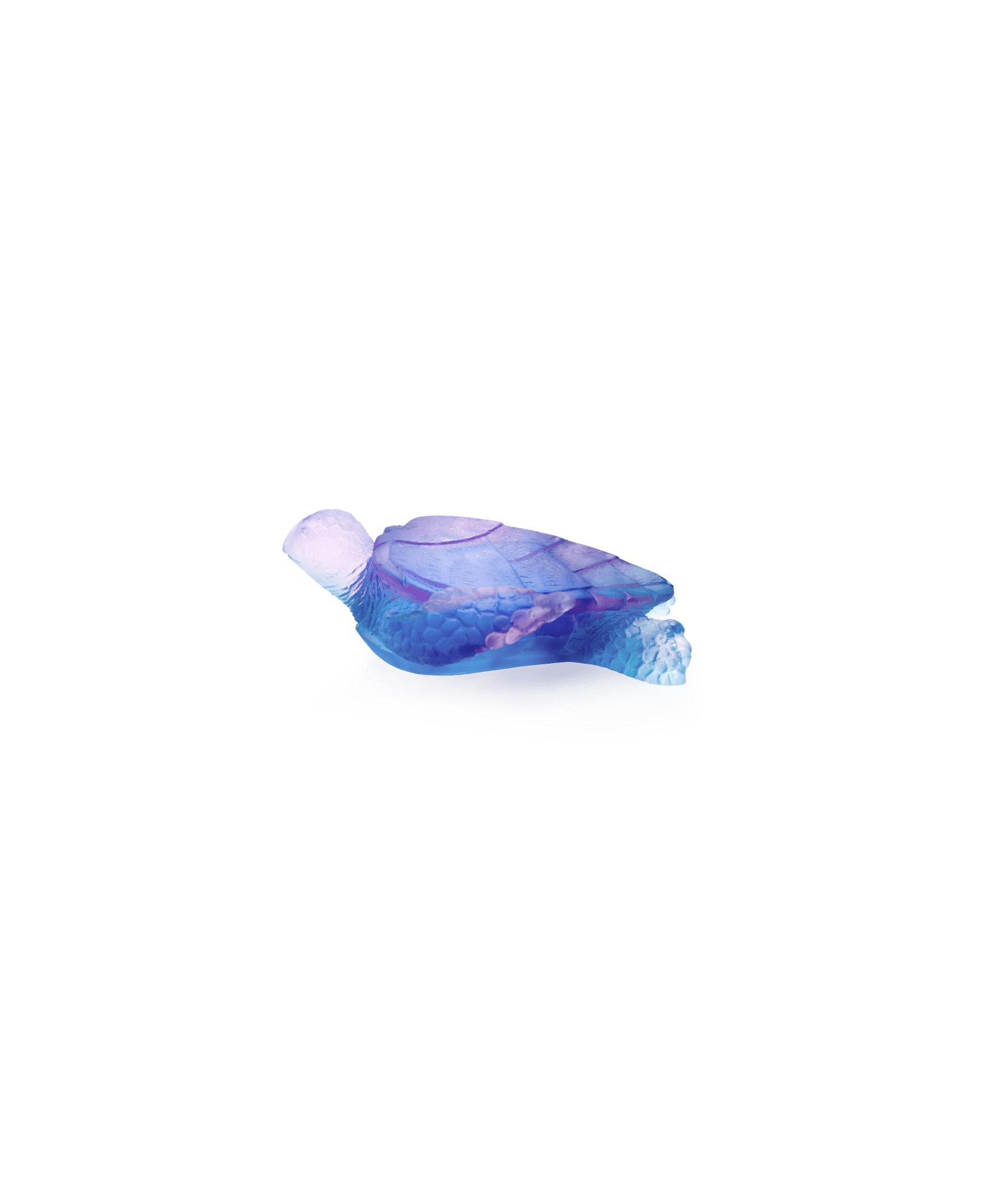 Daum Mer De Corail Medium Sea Turtle Blue Sculpture β and pink