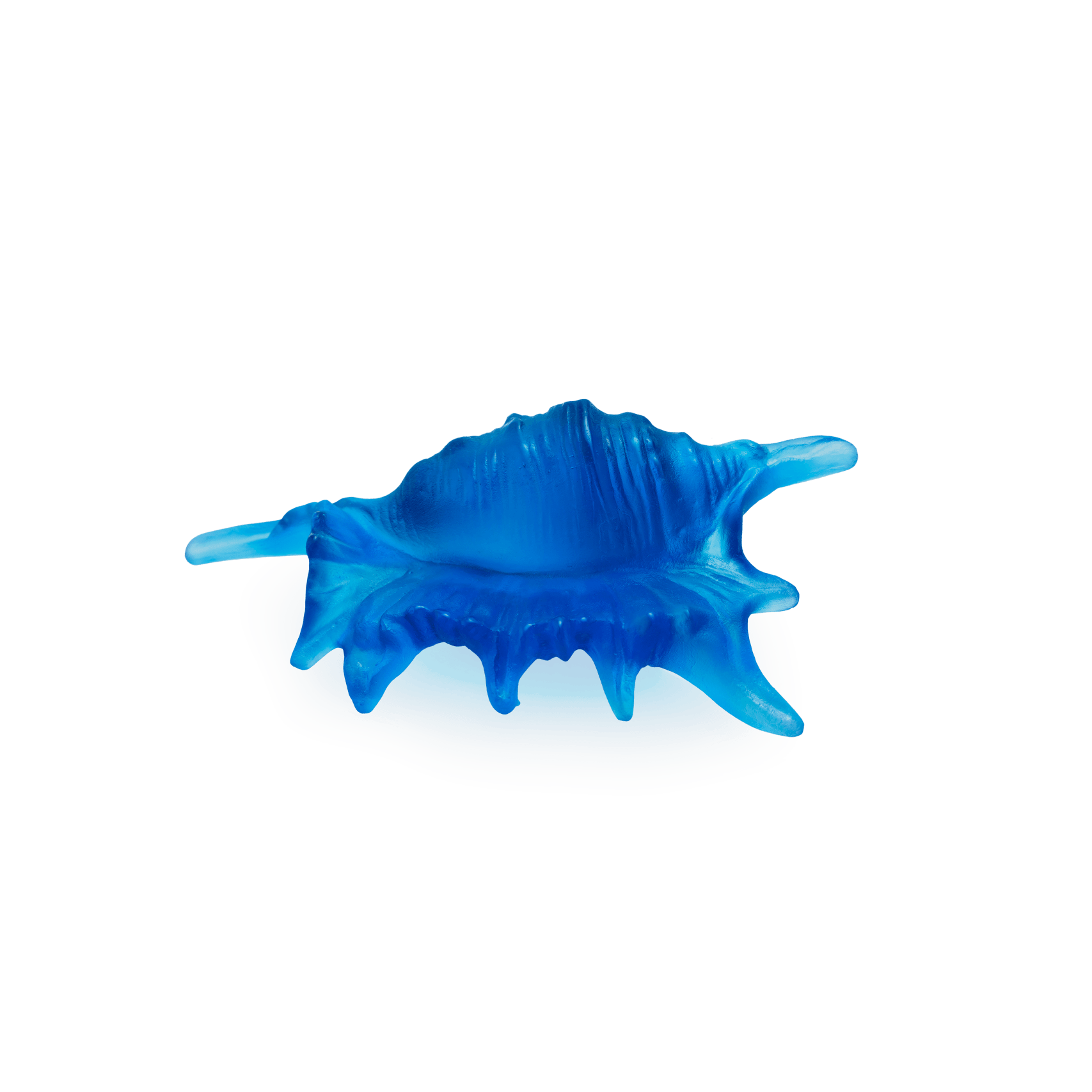 Daum Mer De Corail Small Shell Sculpture