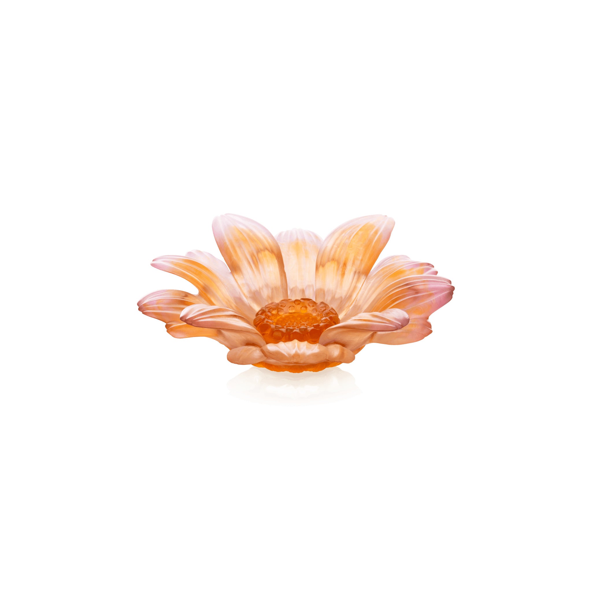 Daum Or D'Abeille Small Presentation Flower Sculpture — Amber pink