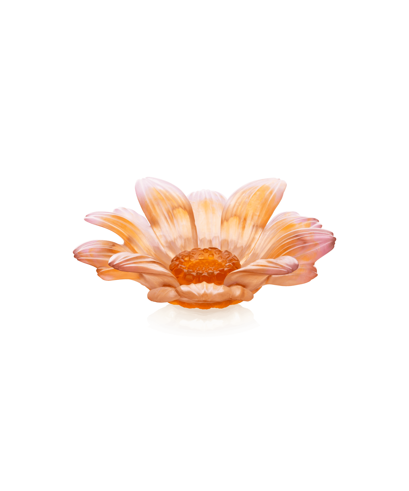 Daum Or D'Abeille Small Presentation Flower Sculpture β Amber pink