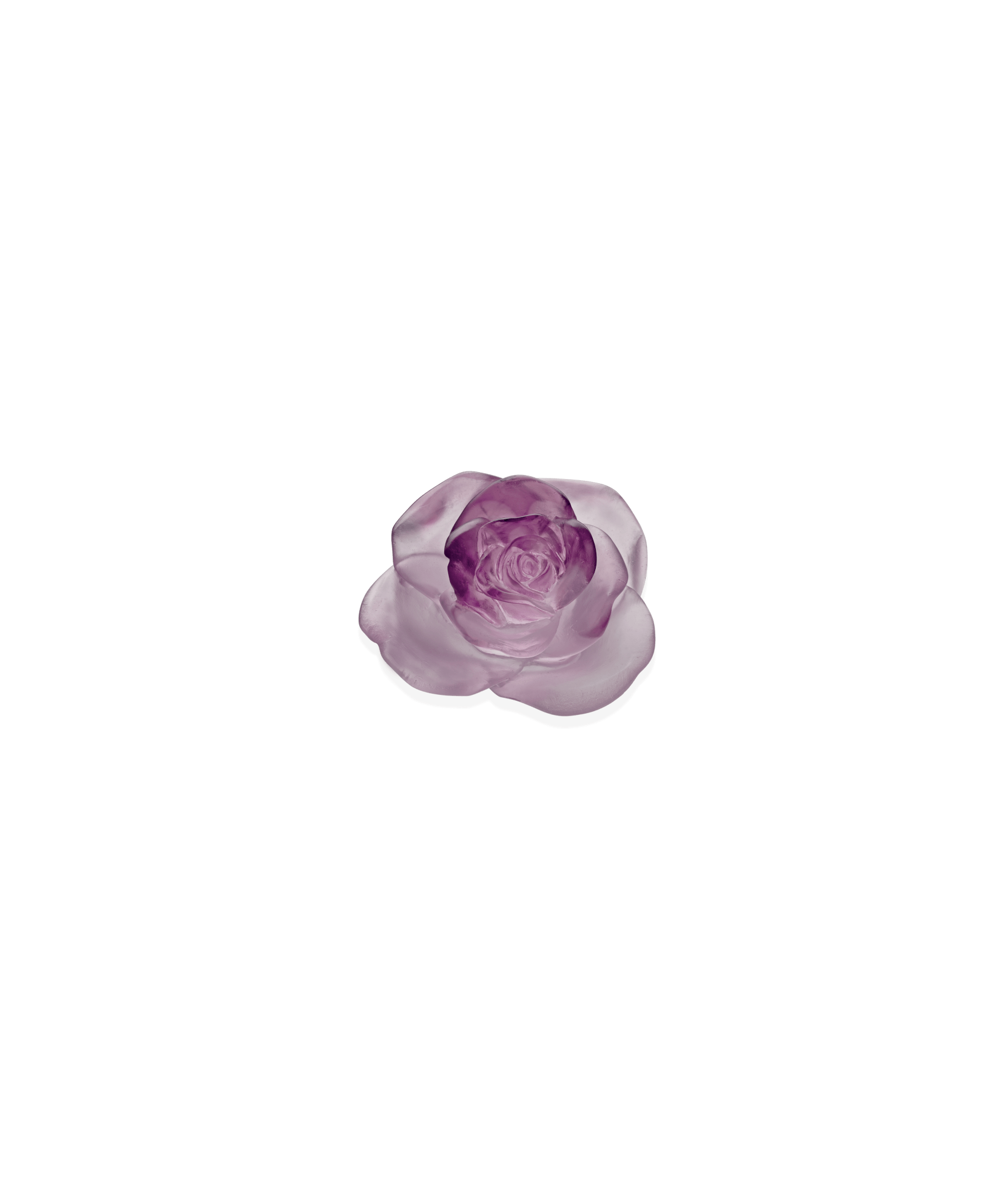 Daum Rose Passion Decorative Flower Pink Sculpture