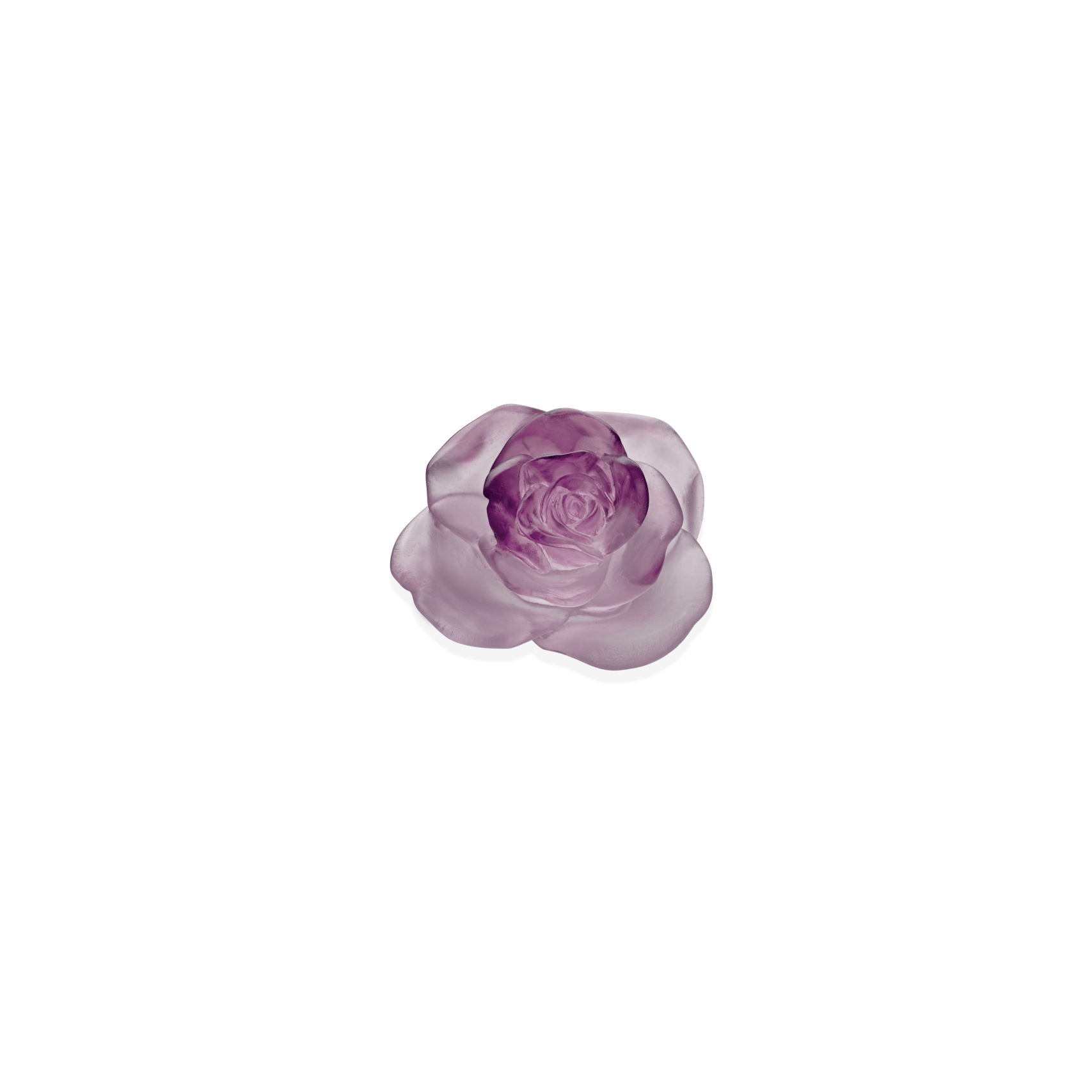 Daum Rose Passion Decorative Flower Pink Sculpture