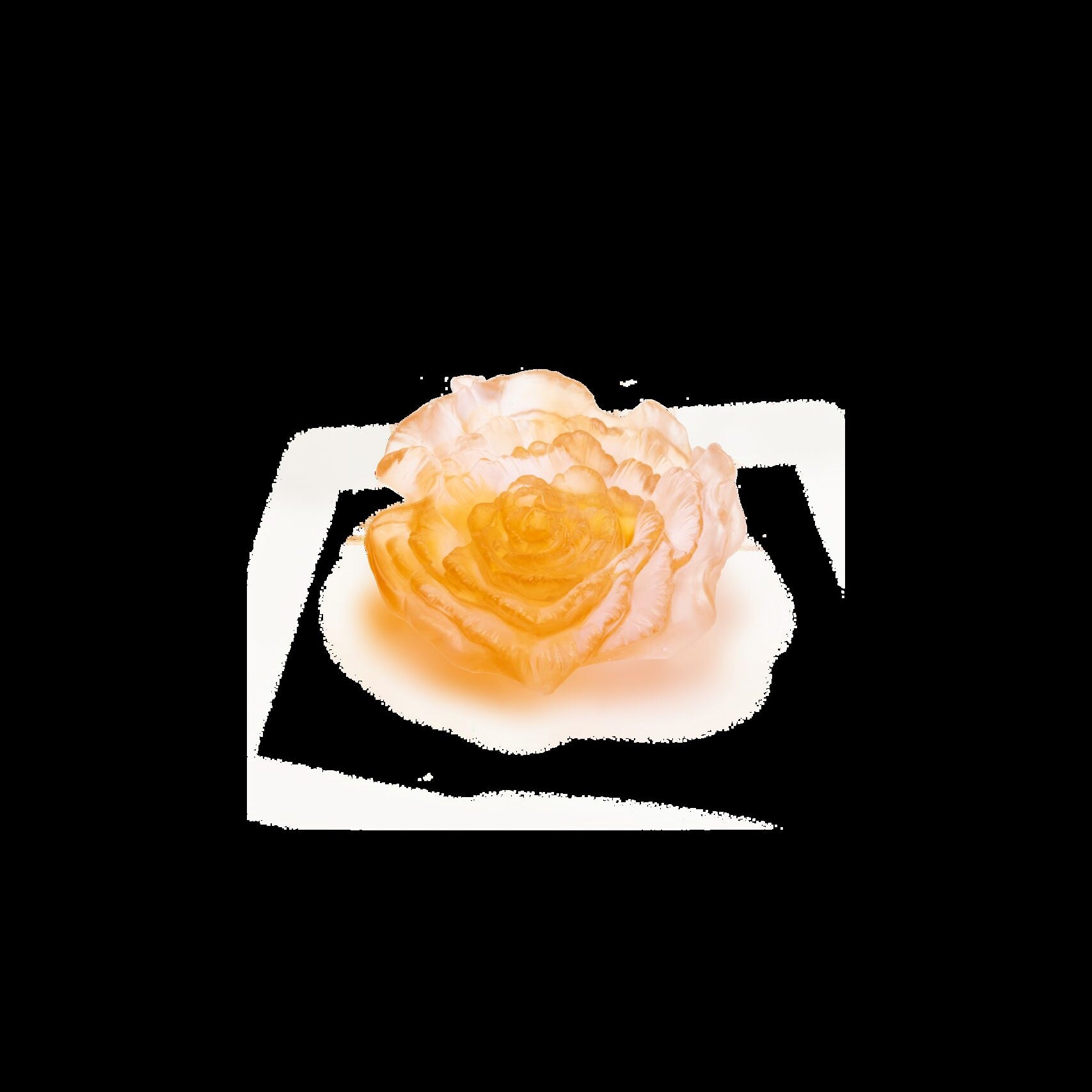 Daum Rose Royale Decorative Flower Sculpture