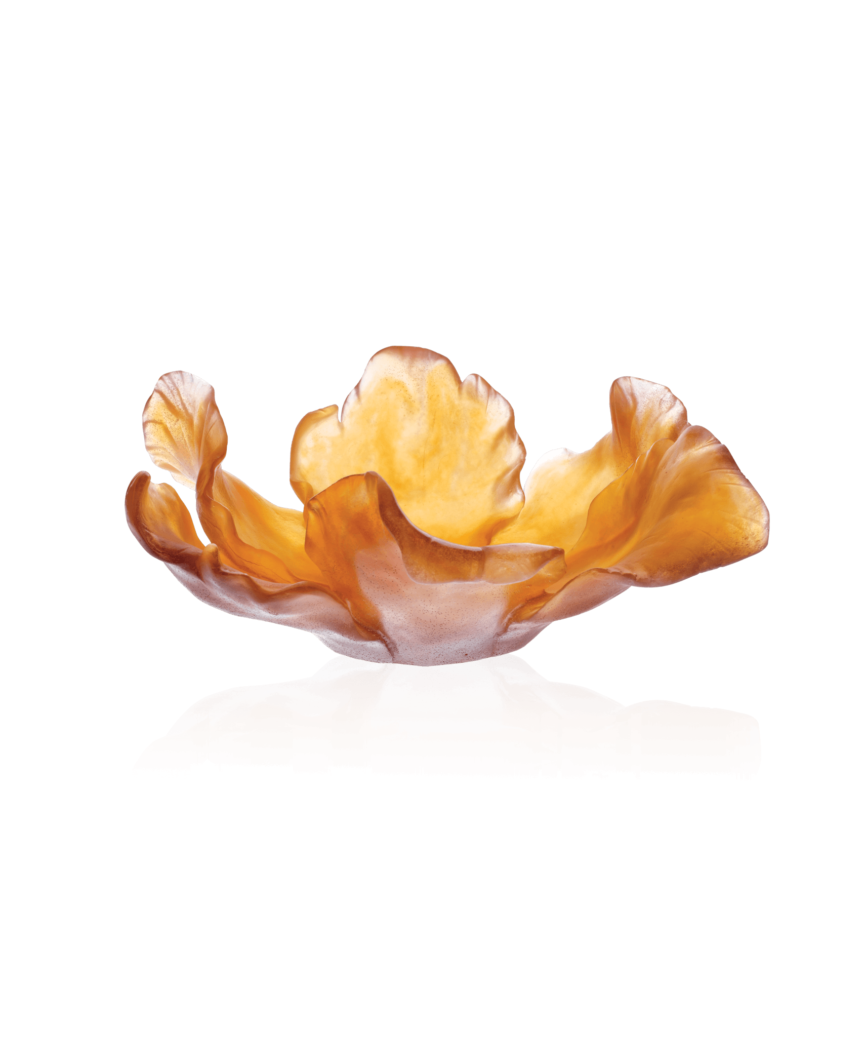 Daum Tulipe Bowl β Amber