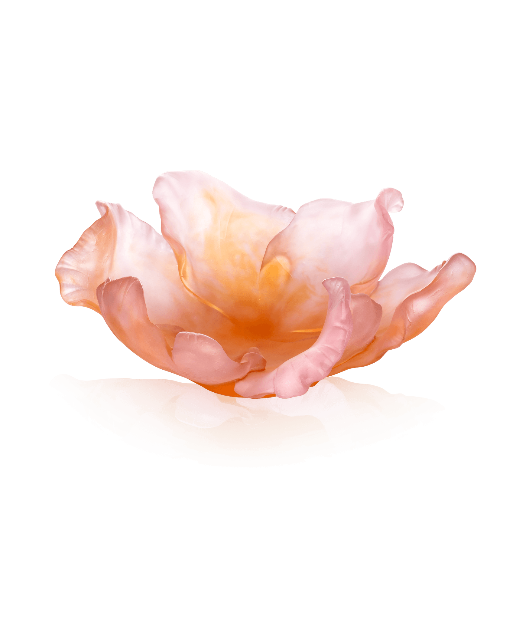 Daum Tulipe Bowl β Amber Pink 99ex