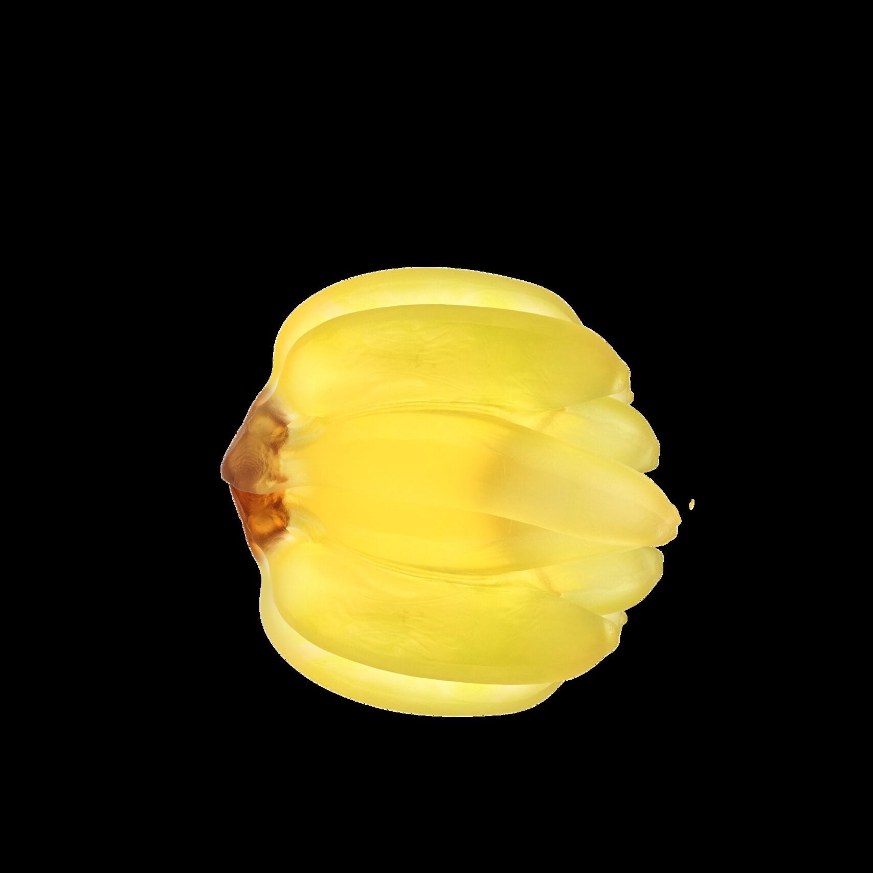 Daum Tutti Frutti Bananas By Gilles Neveu 299ex Sculpture