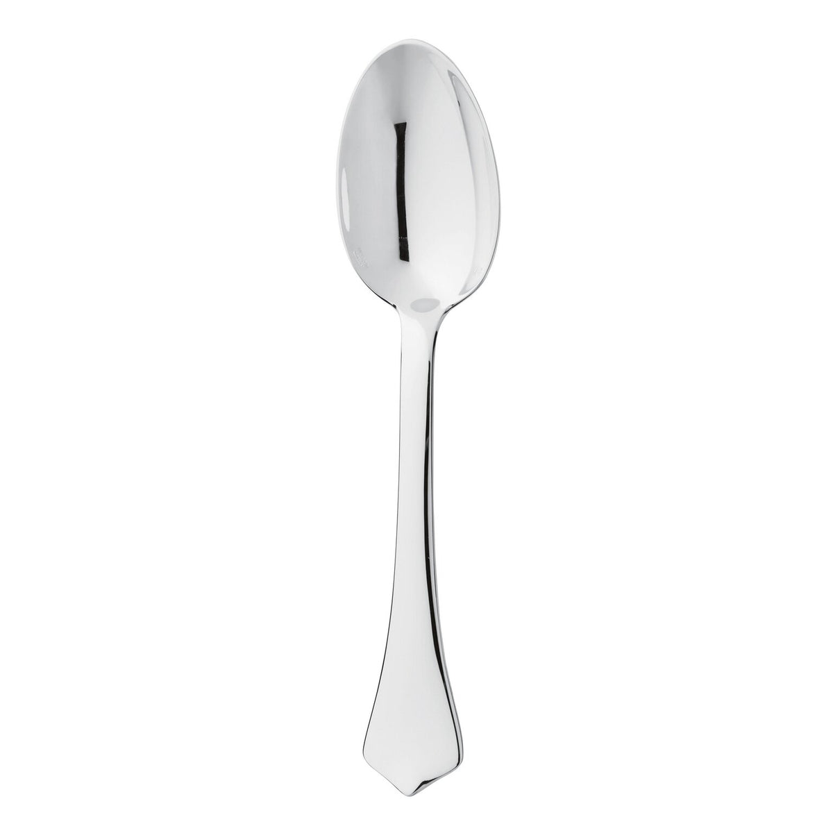 Ercuis Brantôme Table Spoon, 8 in