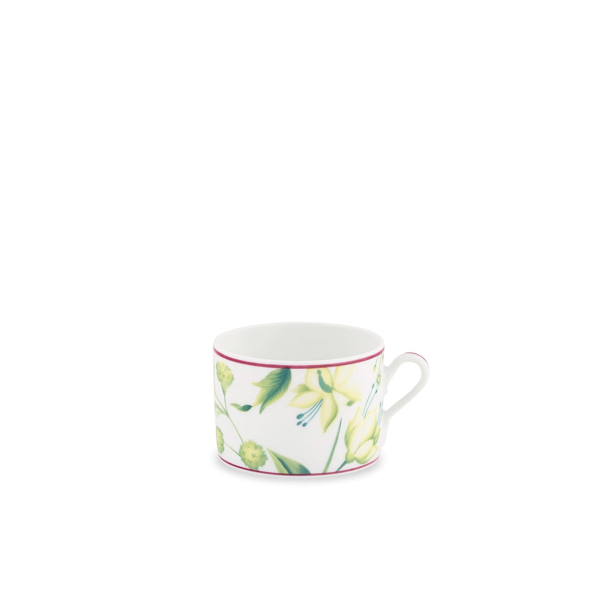 Ginori 1735 Florenza Tea Cup, Acanto