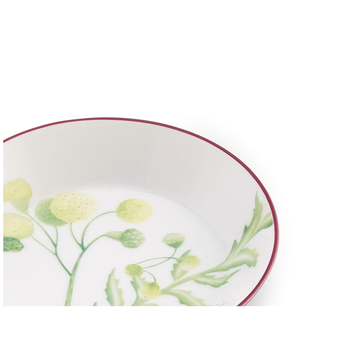 Ginori 1735 Florenza Tea Saucer, Acanto, view 3