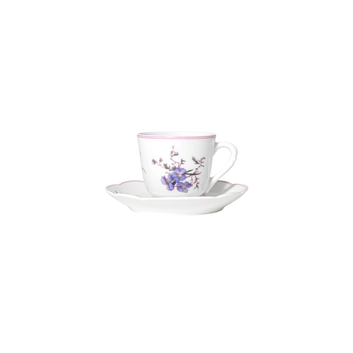 Haviland Fleurs d'Auteuil Coffee Cup and Saucer